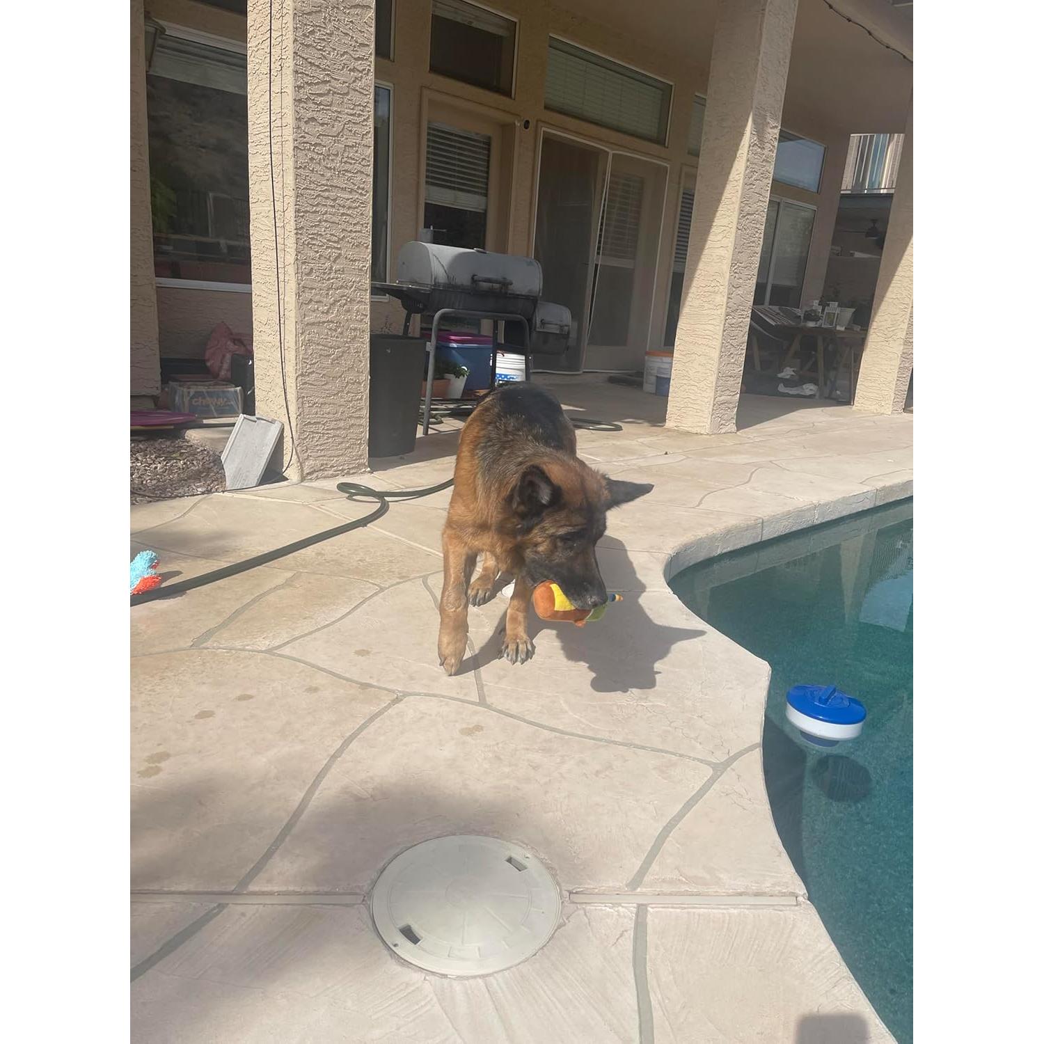 Paquete de 6 Juguetes Squeaky para Perros Jalousie