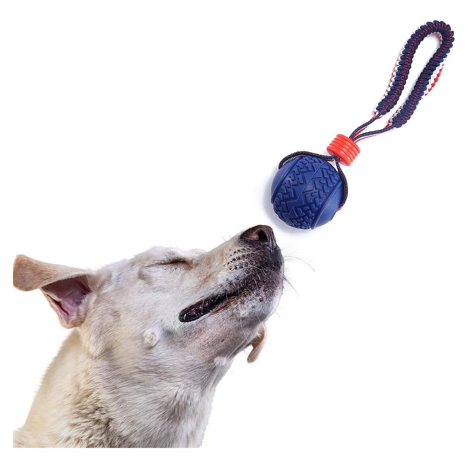 Pelota Flotante para Perros Viraagyiyou 27cm Goma Duradera