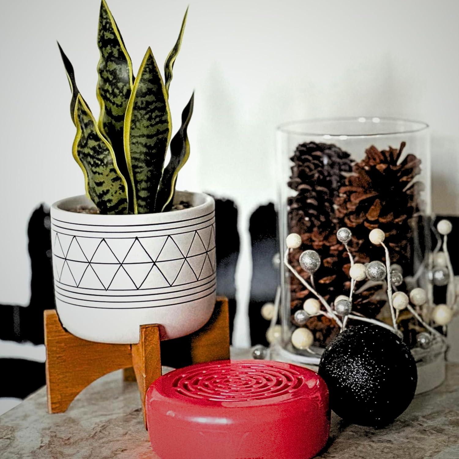 Ambientador Citrus Magic Menta Jolly de Acebo 198g - Absorbe Olores