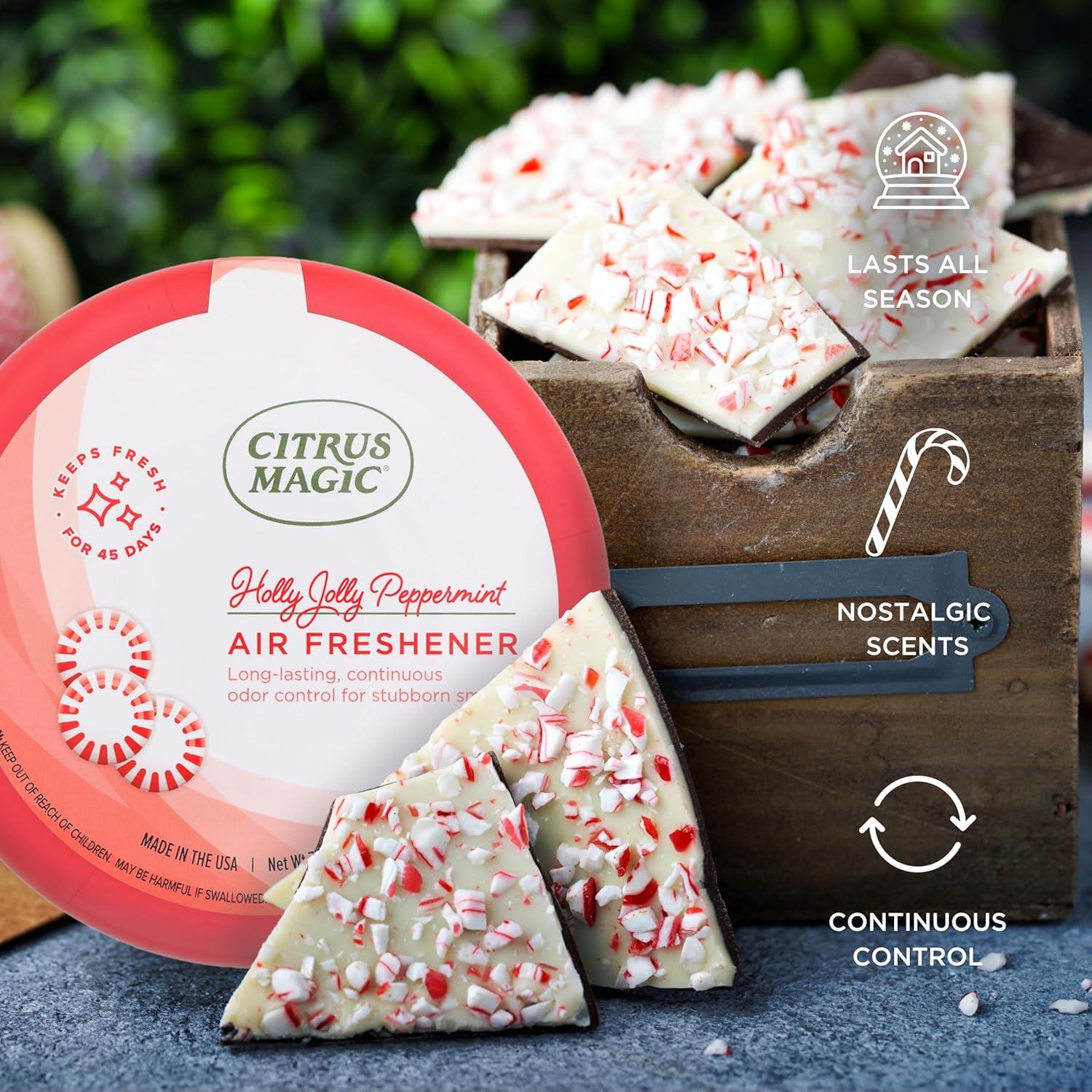 Ambientador Citrus Magic Menta Jolly de Acebo 198g - Absorbe Olores