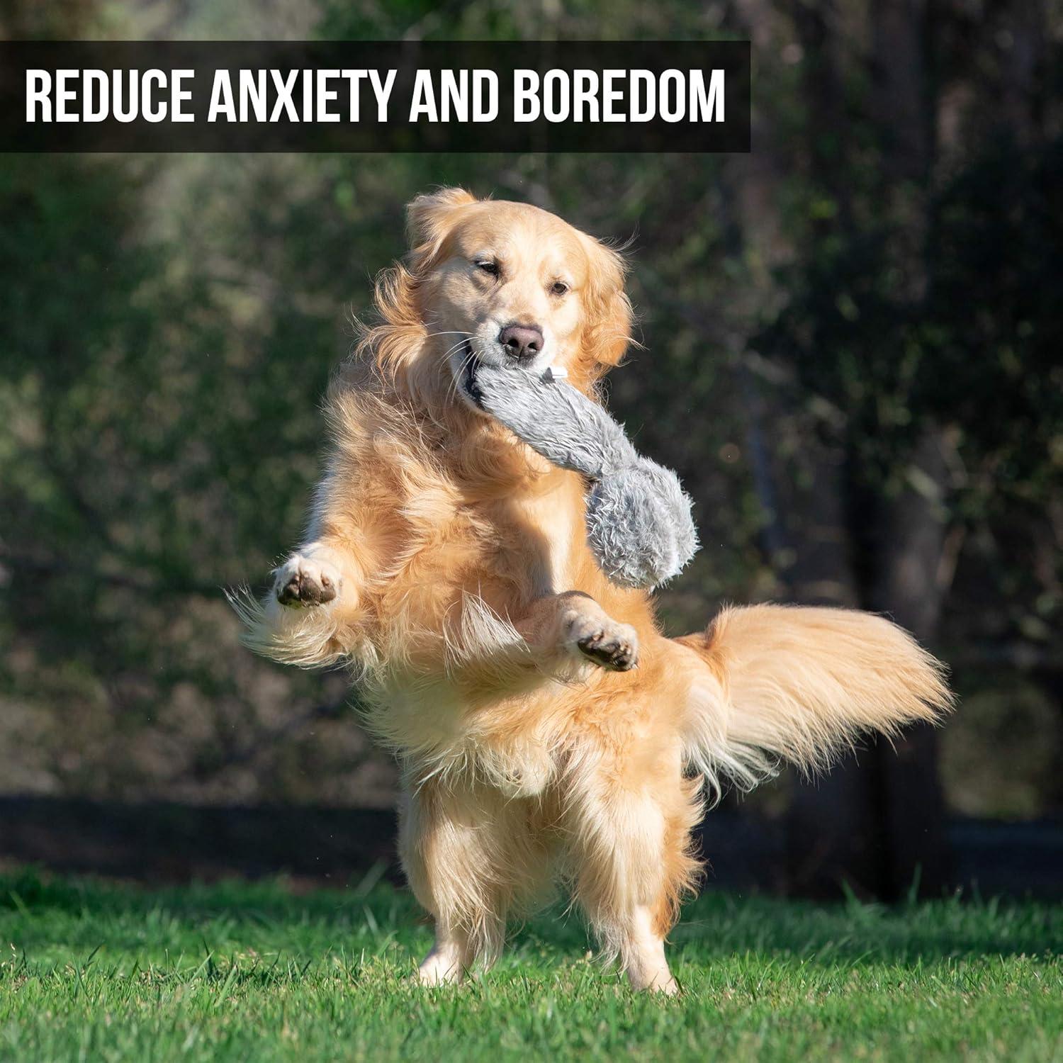 Juguete Interactivo para Perros Hyper Pet Doggie Tail