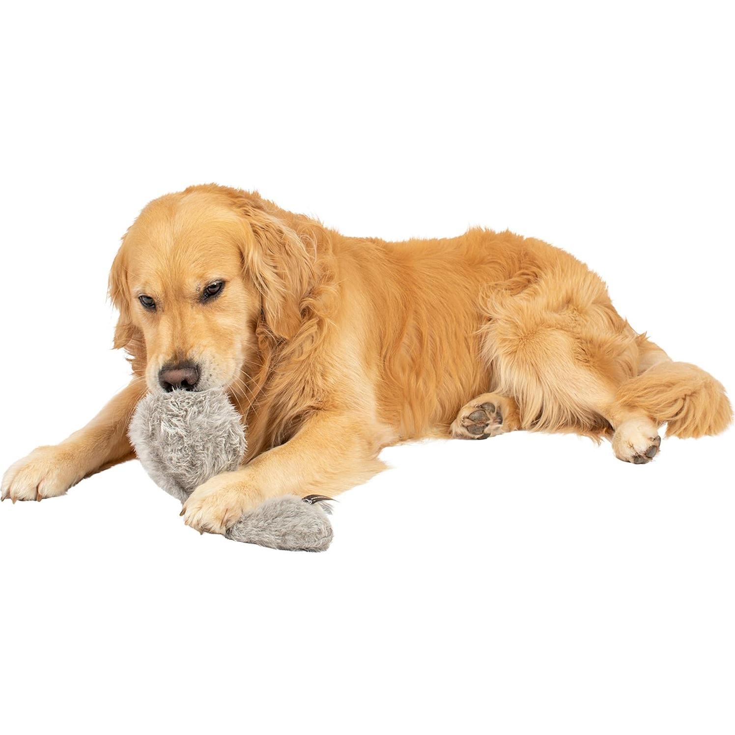 Juguete Interactivo para Perros Hyper Pet Doggie Tail