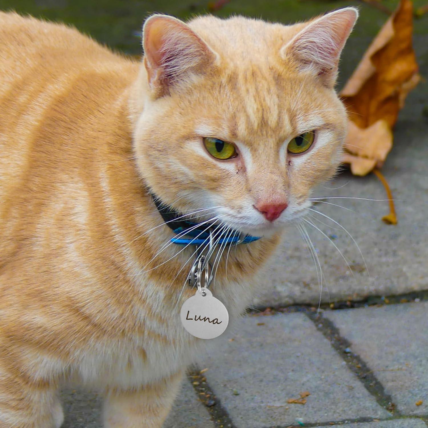 25 Etiquetas de Perro Personalizadas Sekonow 3.1cm Aluminio