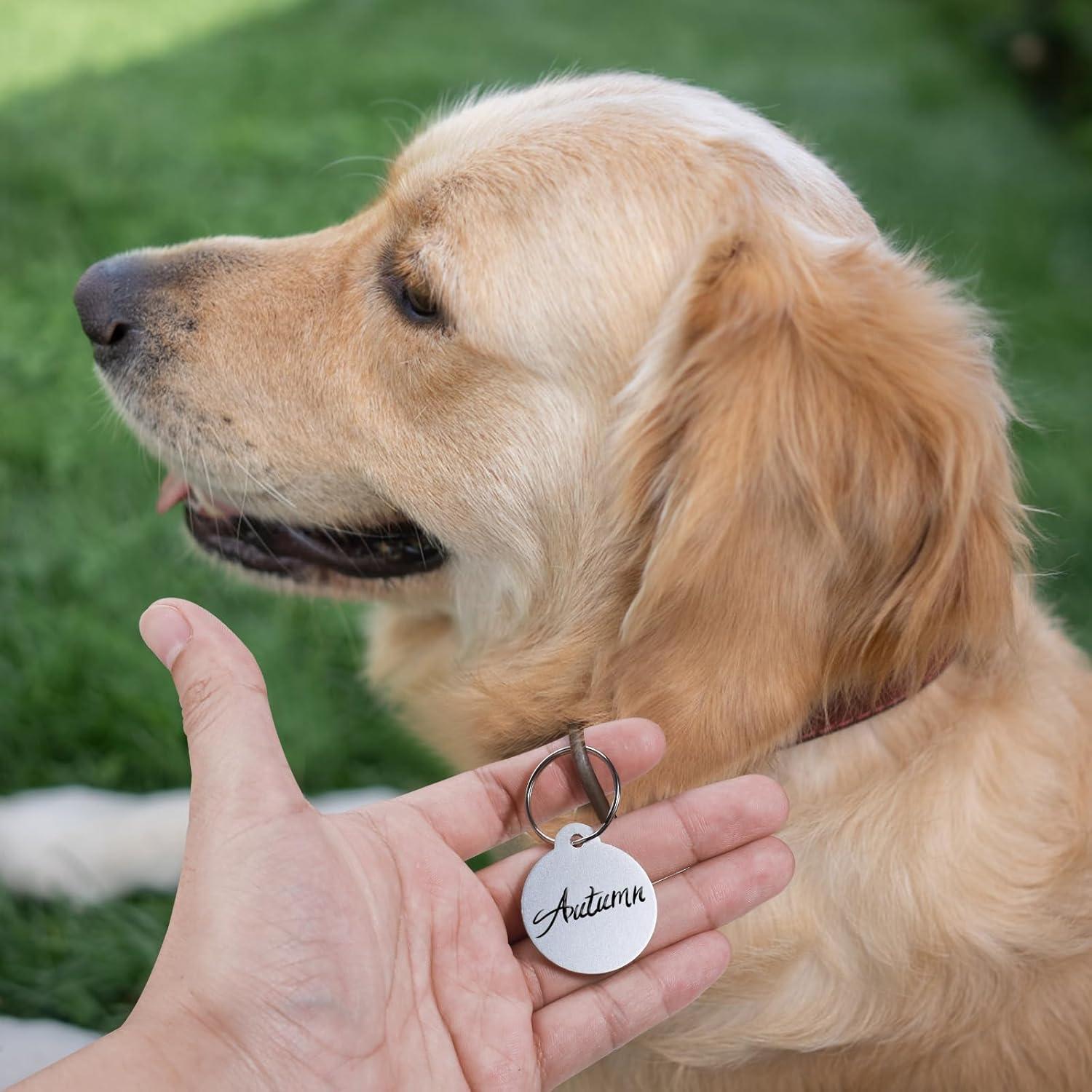 25 Etiquetas de Perro Personalizadas Sekonow 3.1cm Aluminio