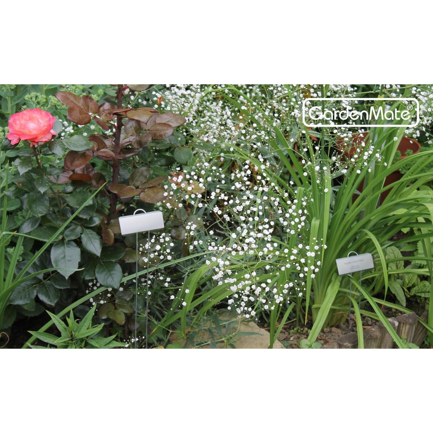 Etiquetas de Plantas de Metal GardenMate - Paquete de 25 Grandes