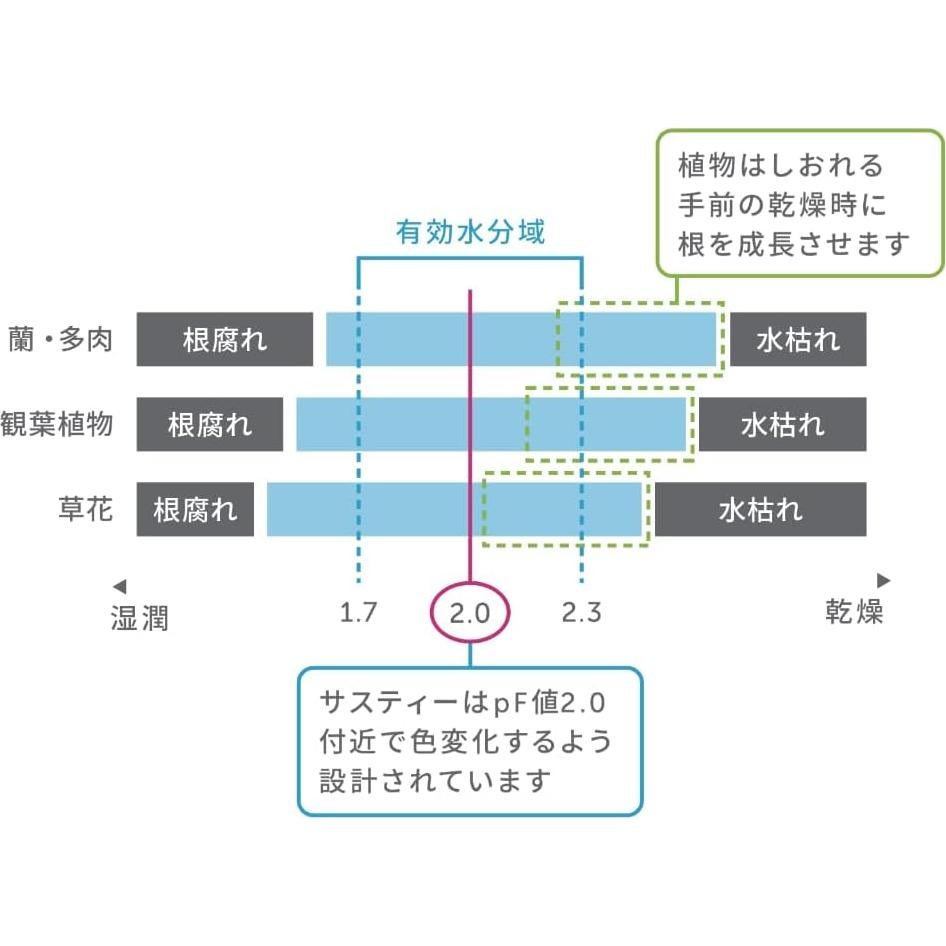 Comprobador de Riego Cabinoche SUSTEE Set 2 Piezas Negro