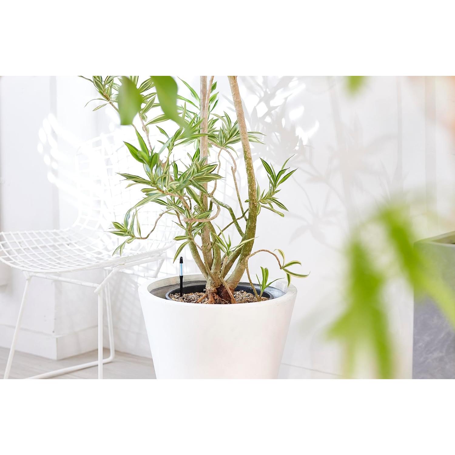 Comprobador de Riego Cabinoche SUSTEE Set 2 Piezas Negro