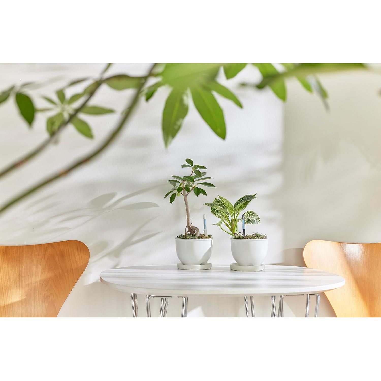 Comprobador de Riego Cabinoche SUSTEE Set 2 Piezas Negro