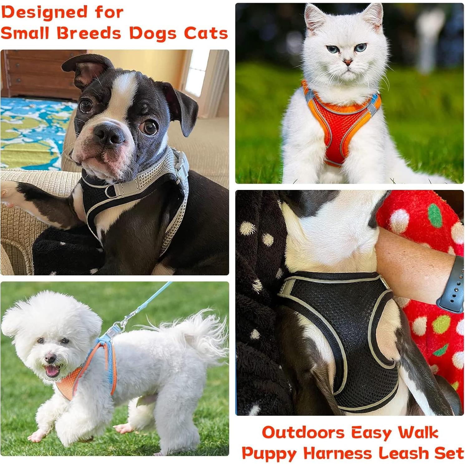 Arnés y Correa para Perros Pequeños PETPUBGNZS Ajustable Negro