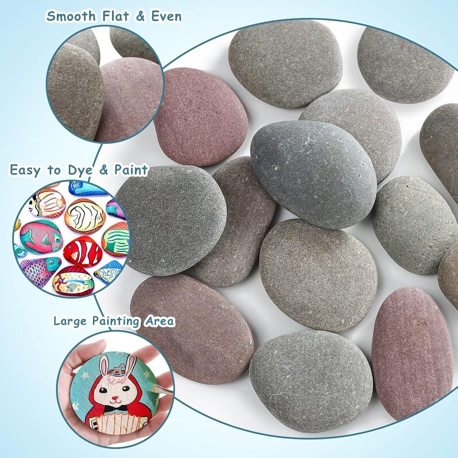 Kit de Pintura de Rocas Grandes Jongdari 12 Pcs 8-12 cm