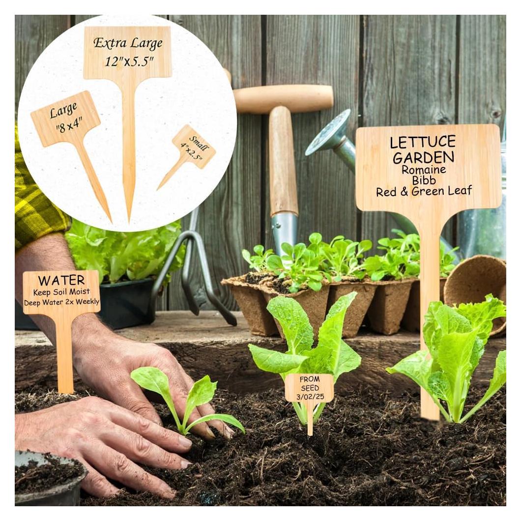 Paquete de 10 Etiquetas de Jardín 20 cm Best Pick Productos