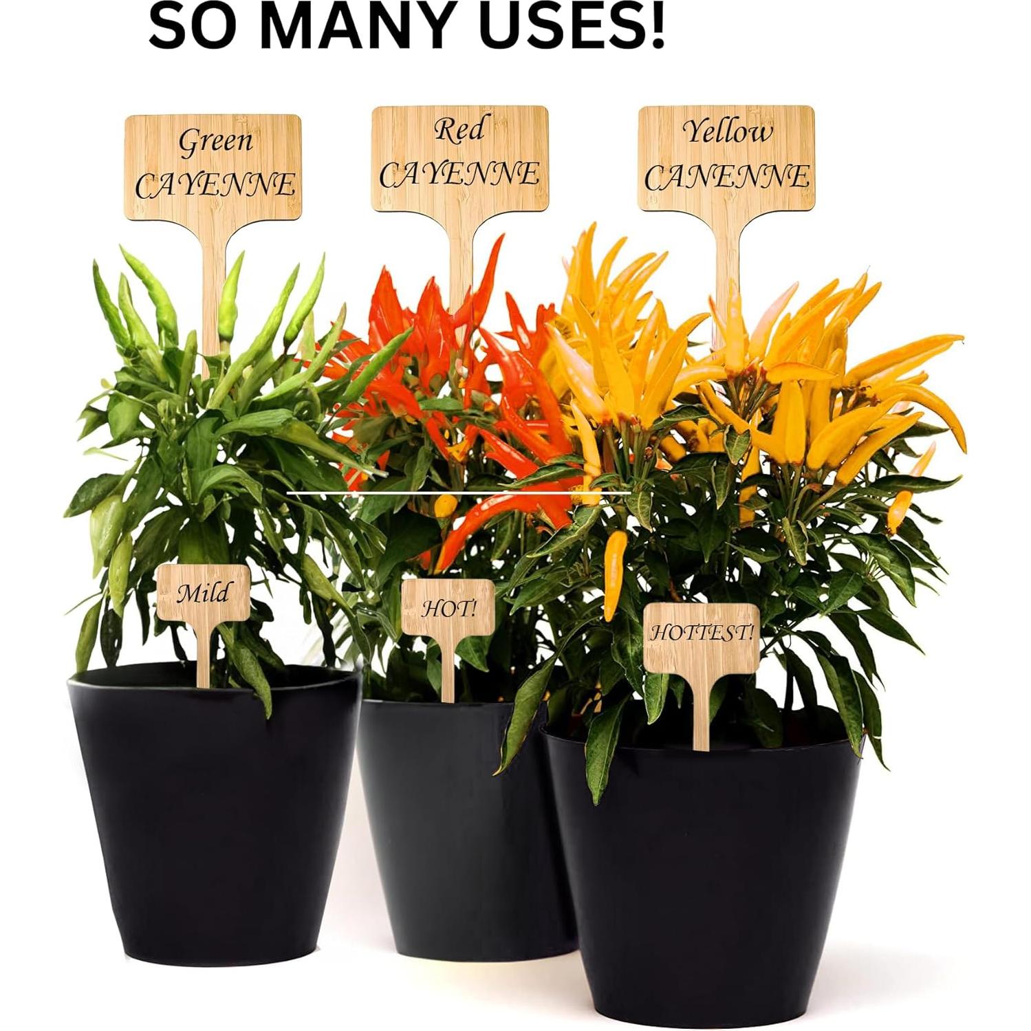 Paquete de 10 Etiquetas de Jardín 20 cm Best Pick Productos