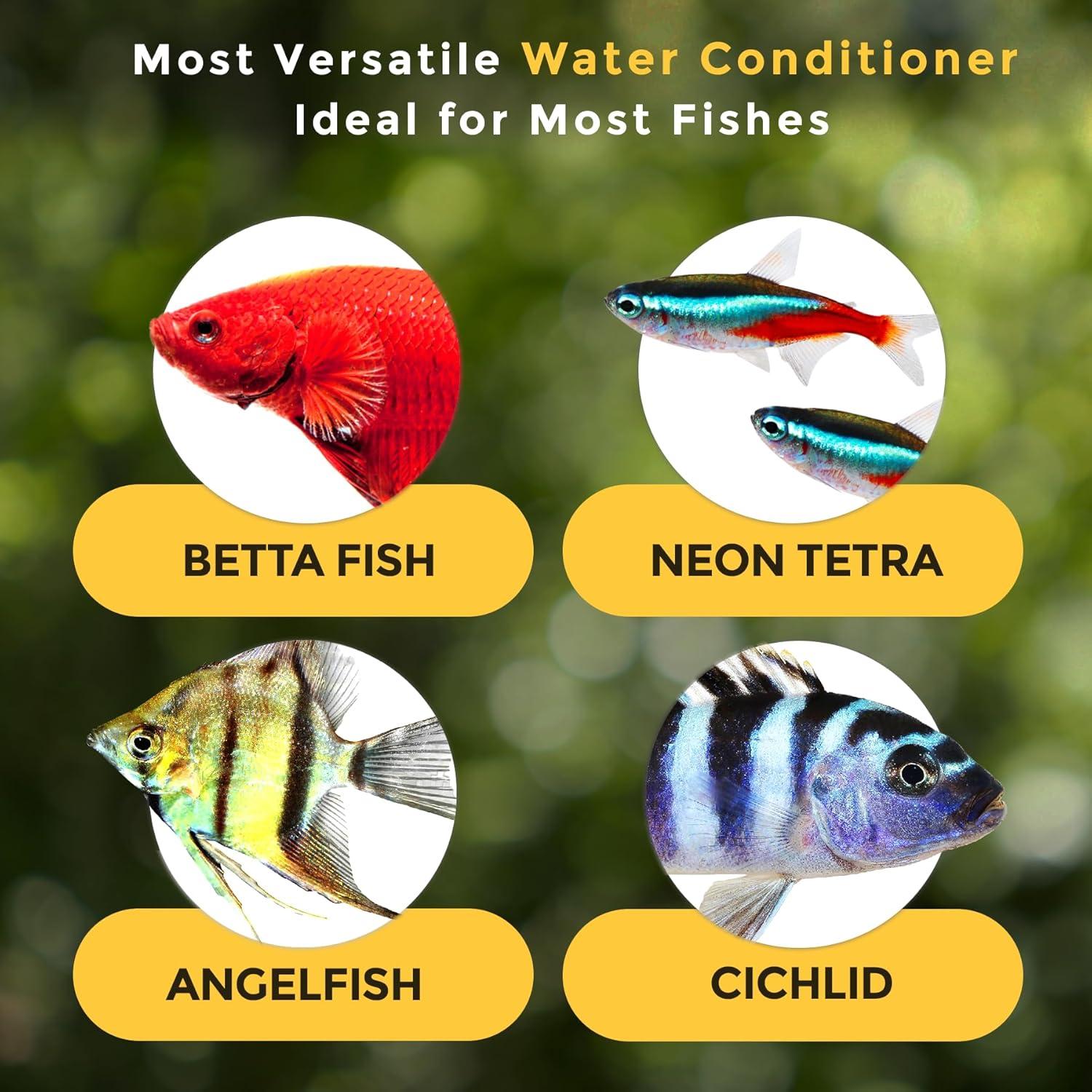 Hojas de Almendra India SunGrow para Acuarios de Camarones 10 Pcs