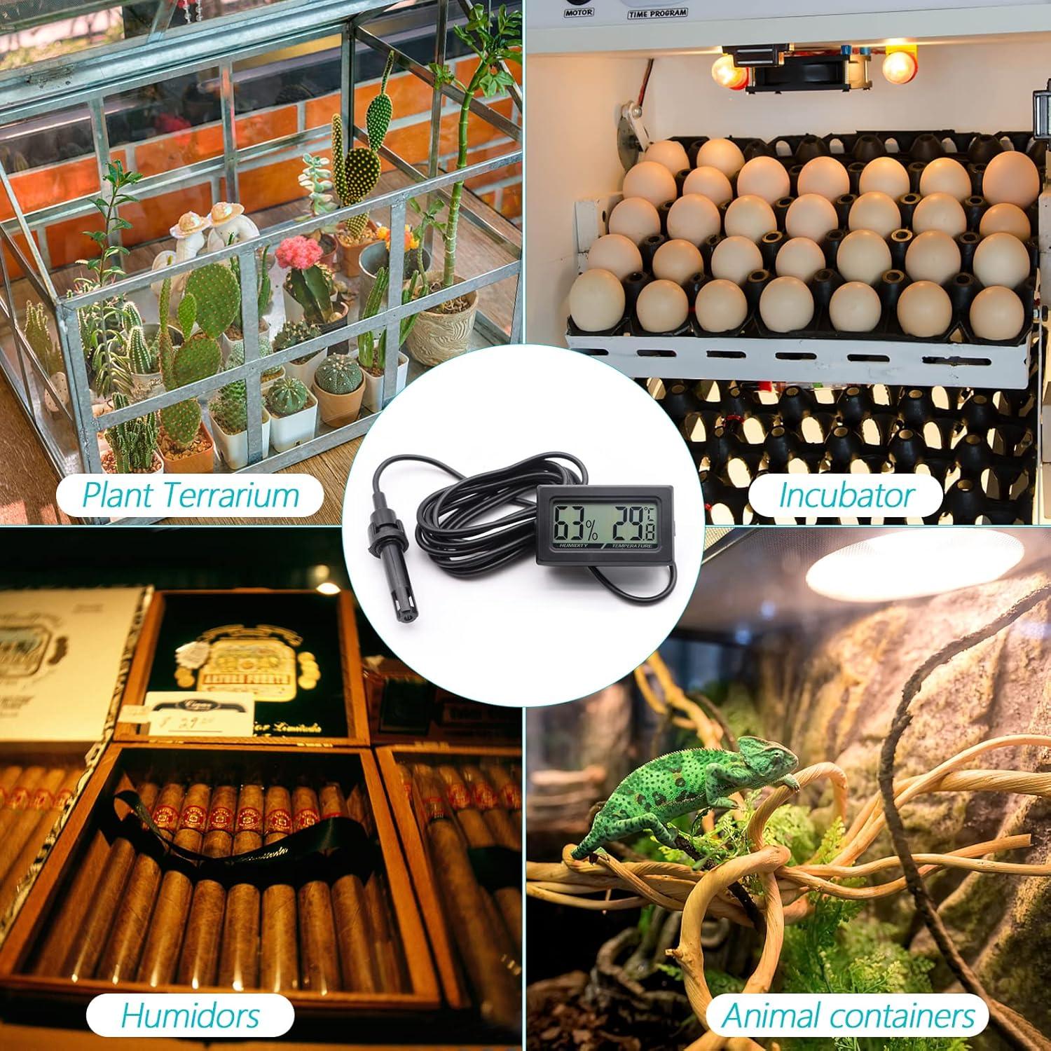 Termómetro Digital y Higrómetro Poly para Reptiles - Mini 2 en 1