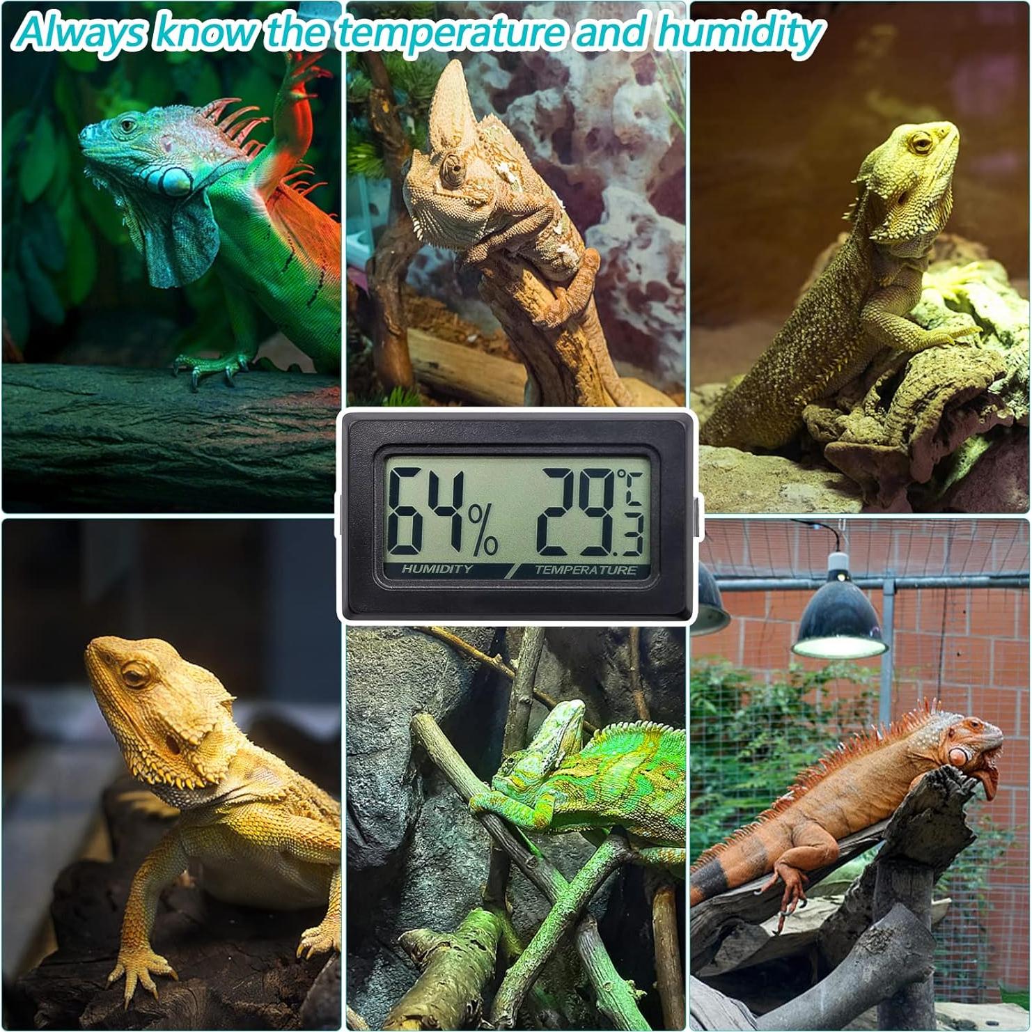 Termómetro Digital y Higrómetro Poly para Reptiles - Mini 2 en 1