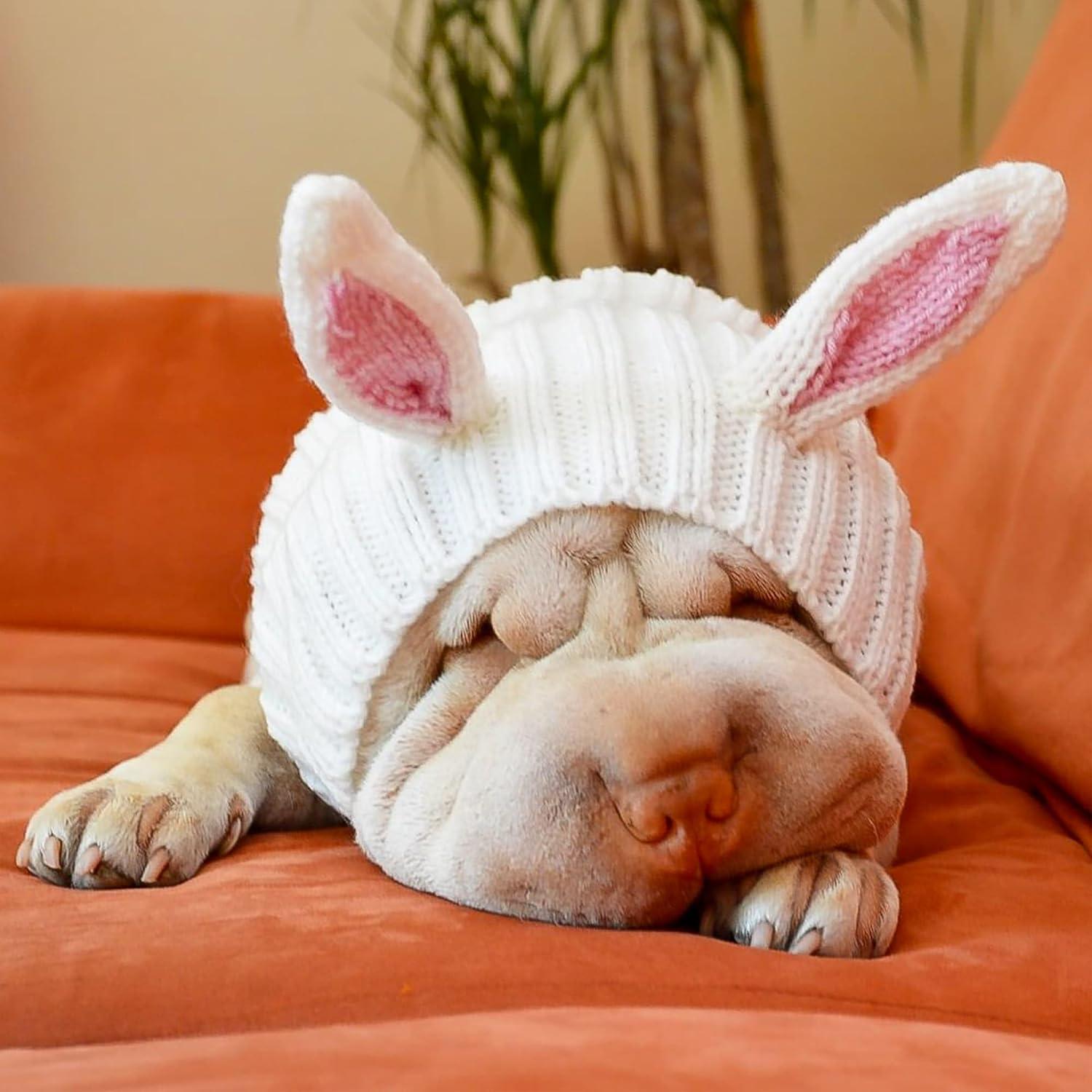 Disfraz de Conejo para Perro Zoo Snoods - Snood Pequeño Blanco