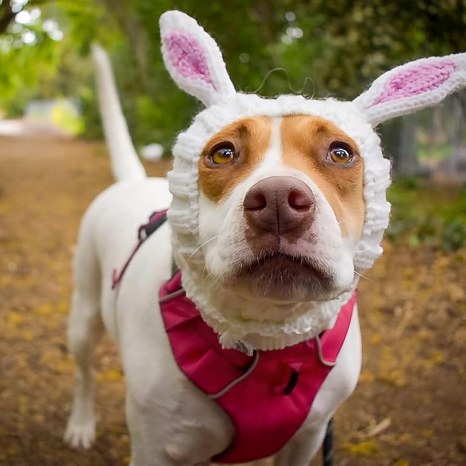 Disfraz de Conejo para Perro Zoo Snoods - Snood Pequeño Blanco