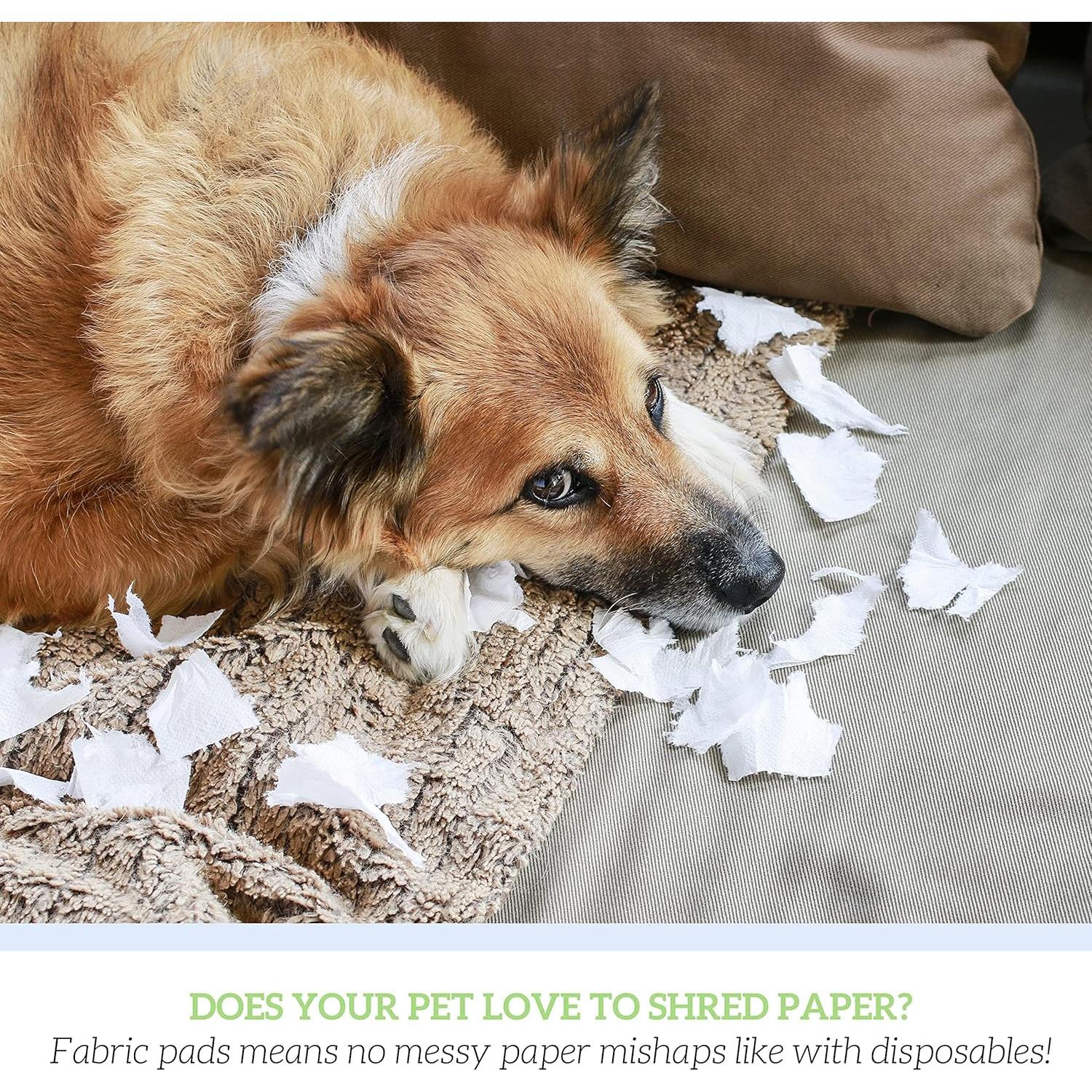 Almohadillas Lavables para Perros Estilo de Vida Verde 45.7x61 cm