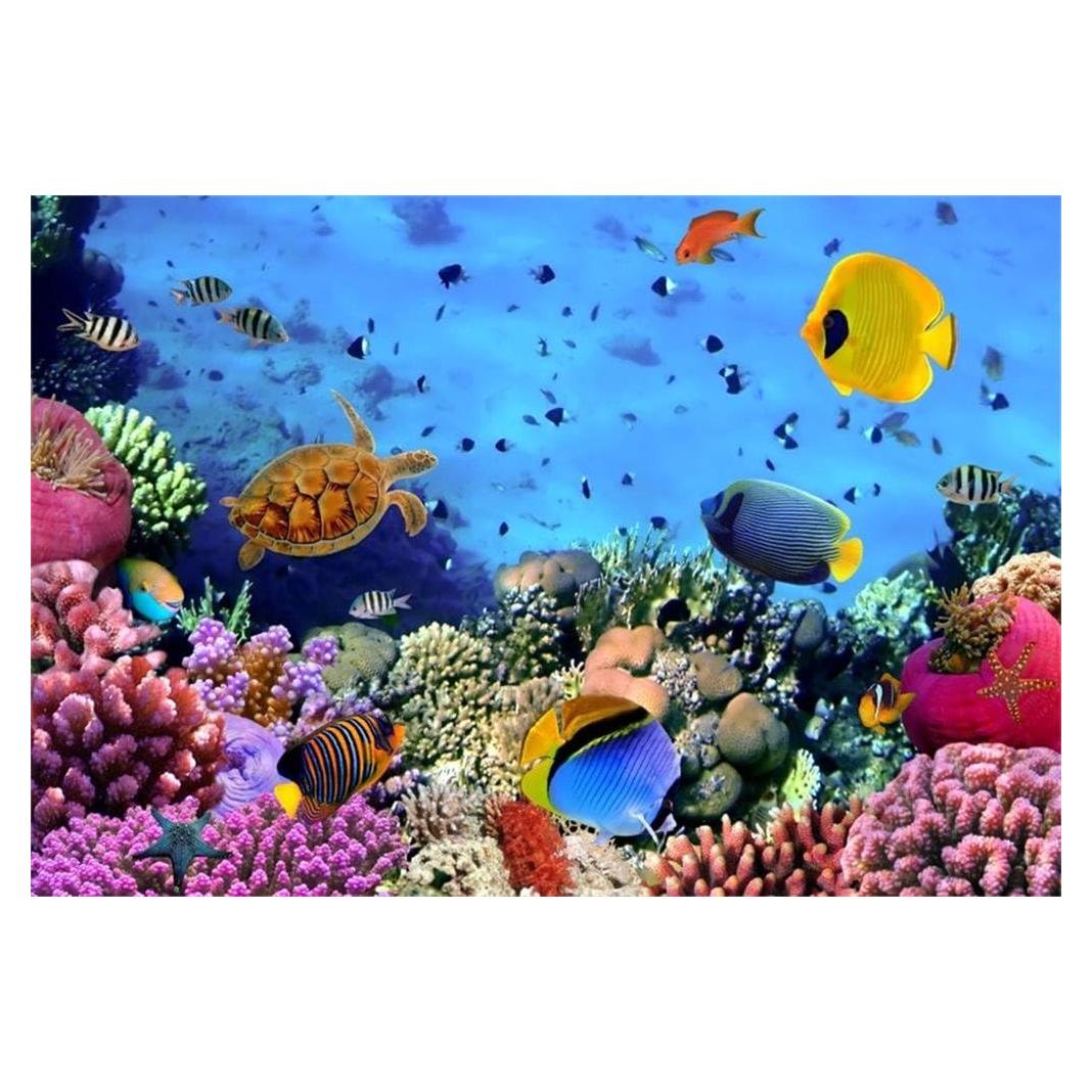 Fondo Fotográfico AOFOTO 1.52x0.91m Submarino Colorido