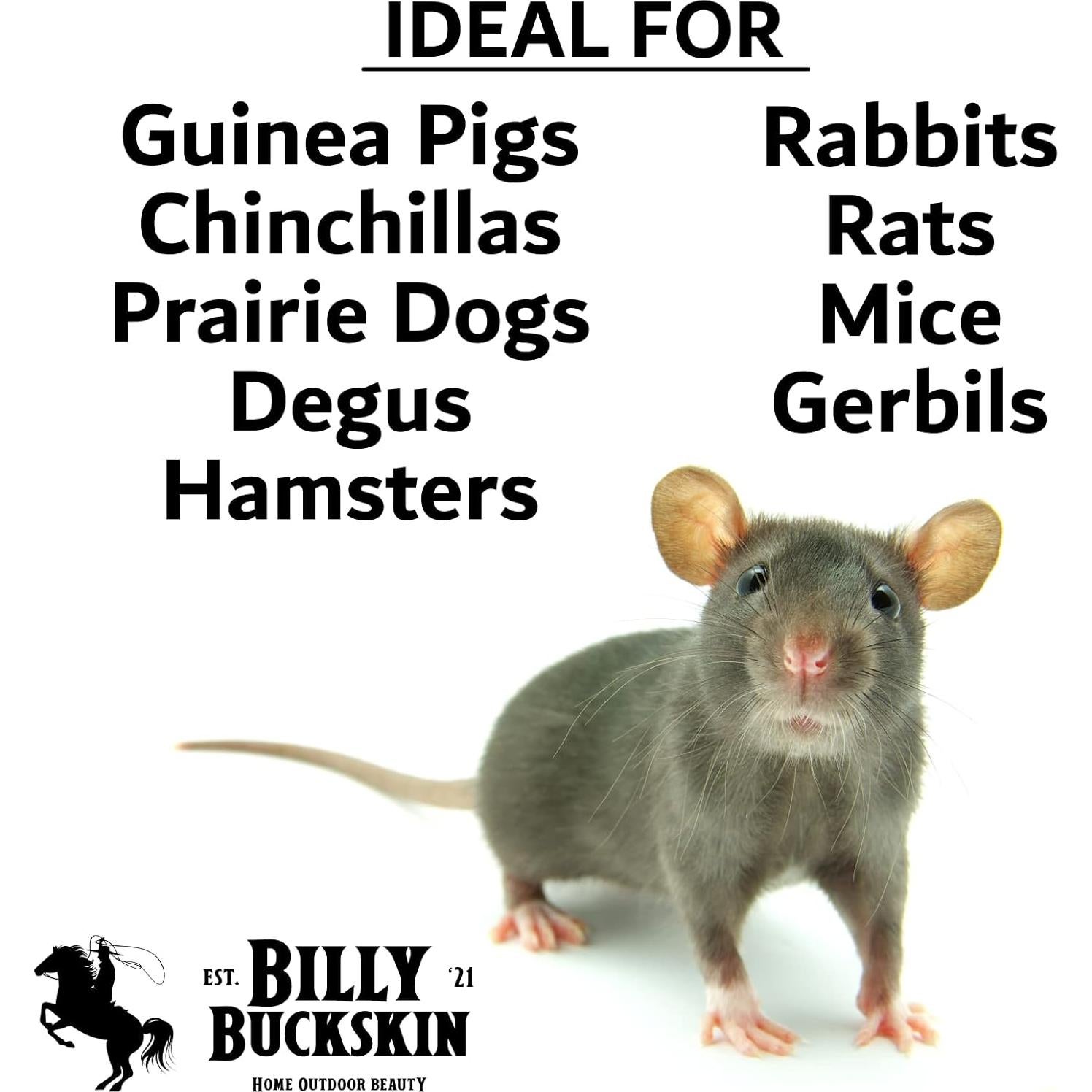 Bloques de Molienda de Pumice Billy Buckskin para Mascotas