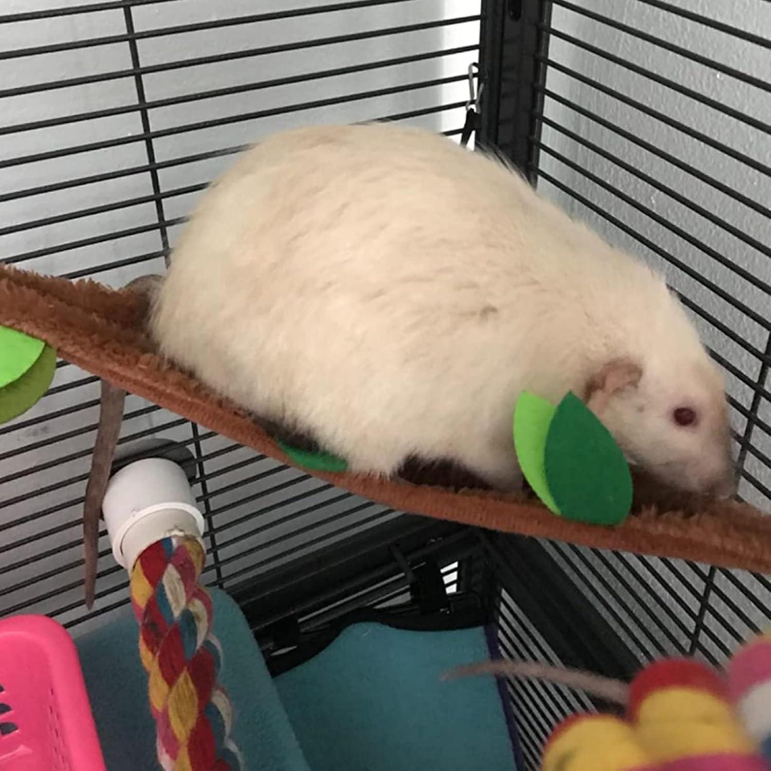 Hamaca colgante para hámster Kathson, 5 piezas, diseño jungla