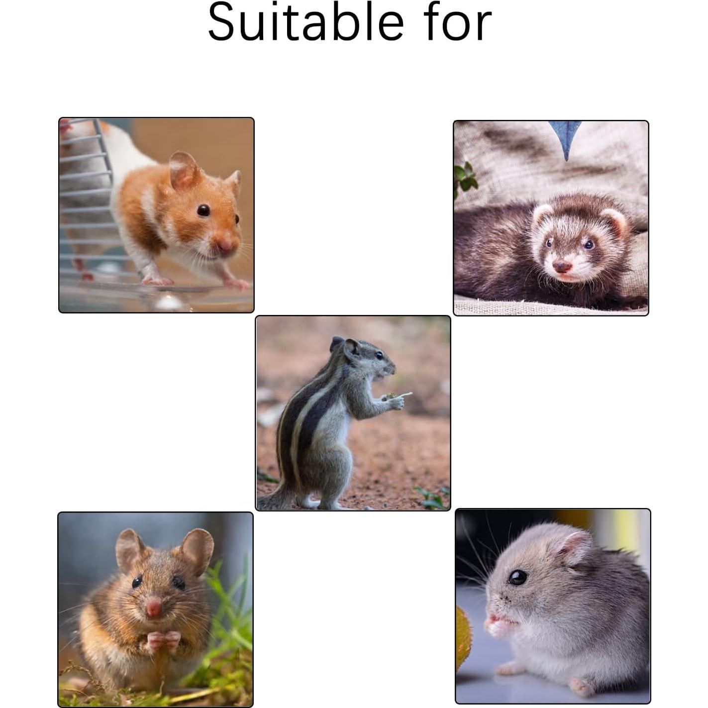 Hamaca colgante para hámster Kathson, 5 piezas, diseño jungla