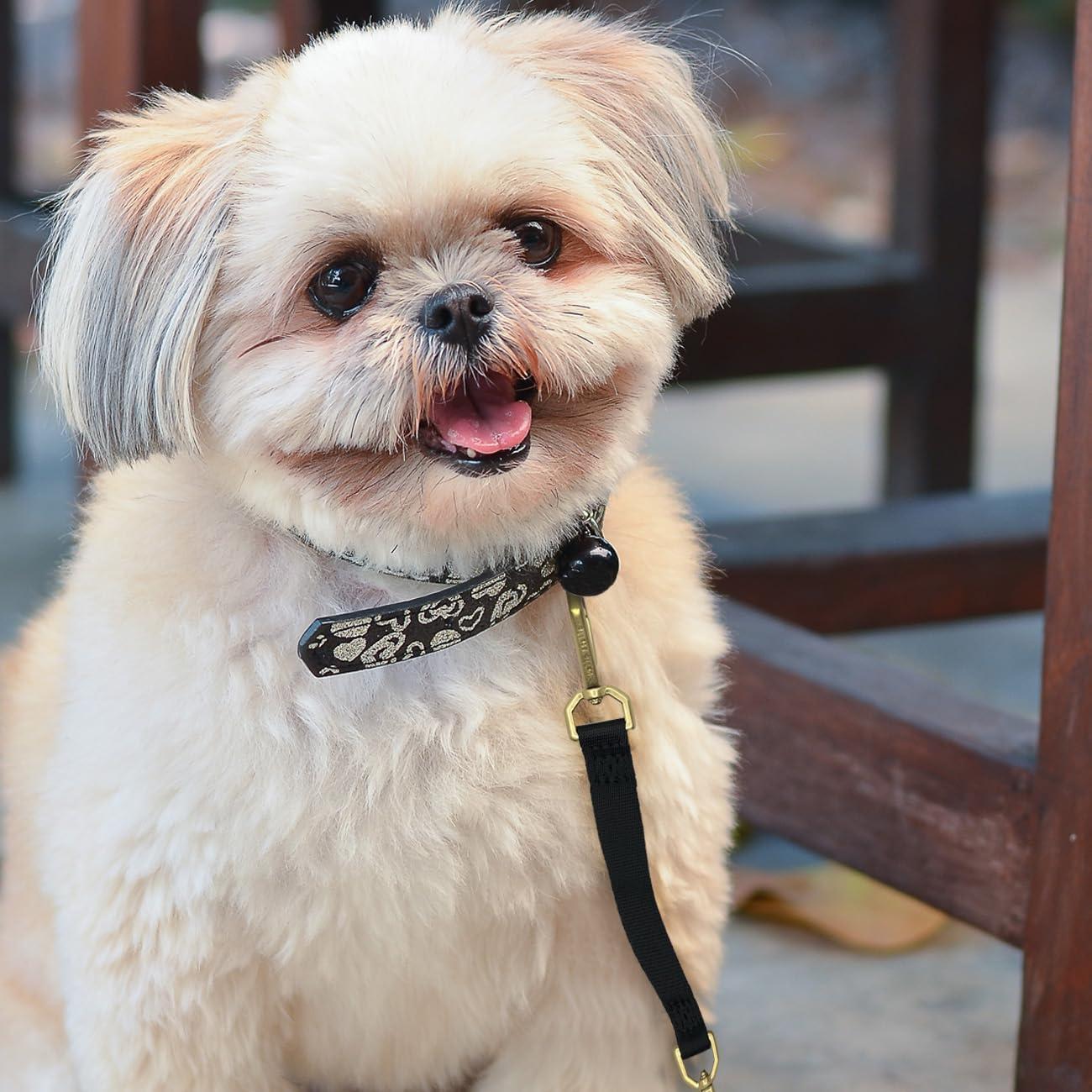Clip de Respaldo Doble Extremo Della Stella para Arnés de Perro