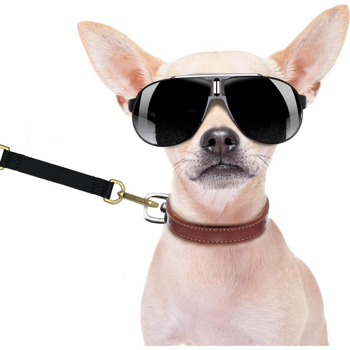 Clip de Respaldo Doble Extremo Della Stella para Arnés de Perro