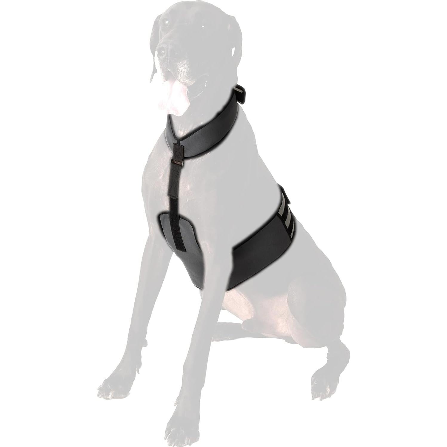 Chaleco y Collar Refrigerante para Perros Maranda XL