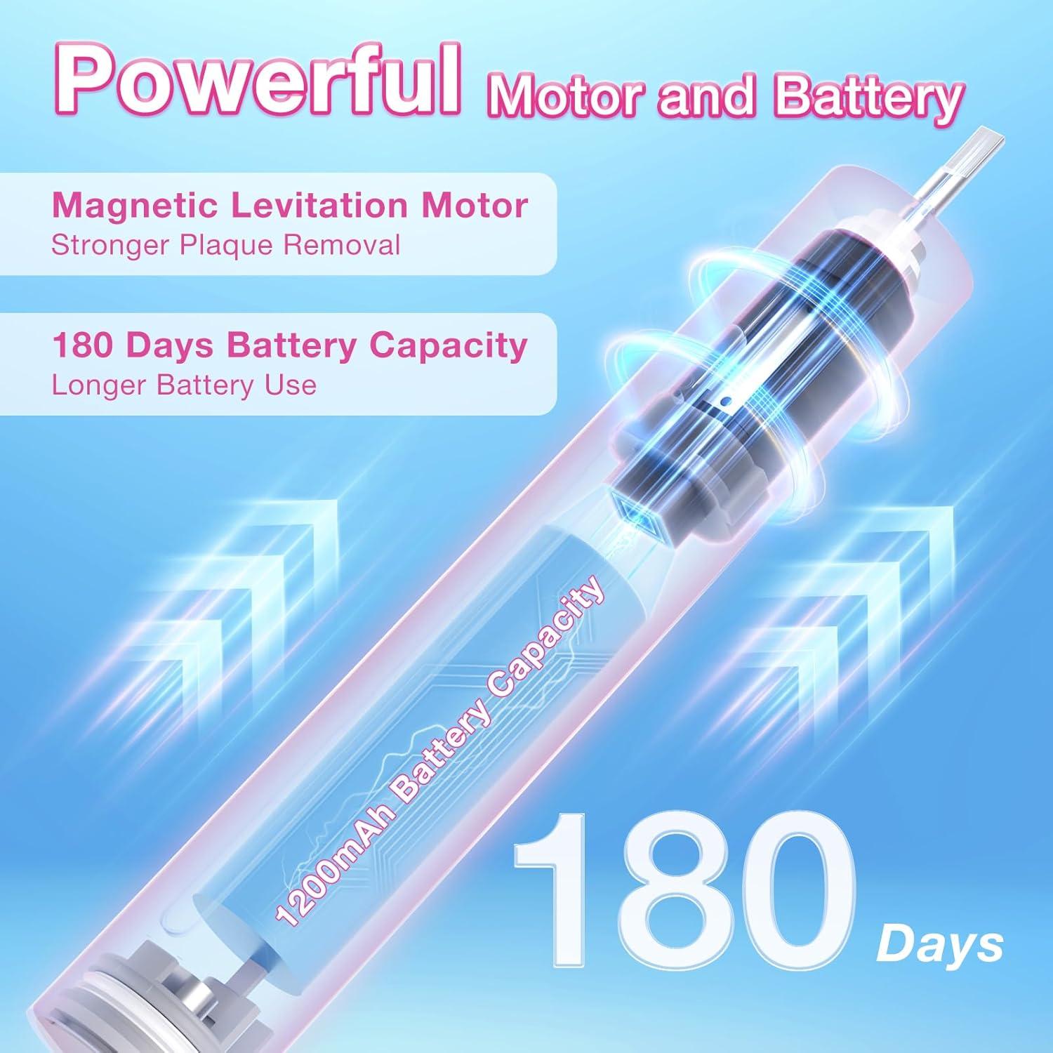 Cepillo de Dientes Eléctrico BABONIR TBM10T Rosa con 8 Cabezas