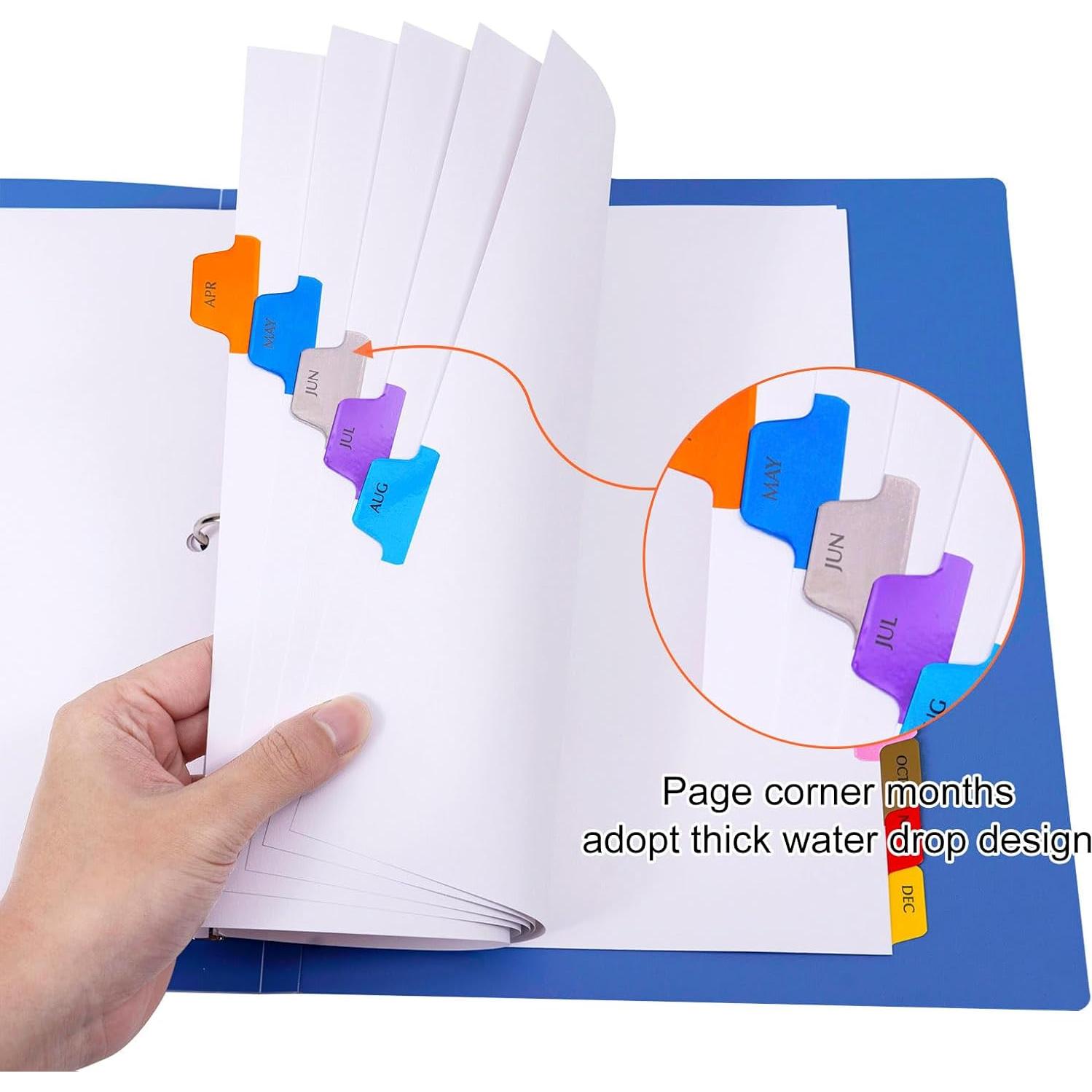 Separadores Mensuales A4 Multicolor LE PAPILLION - 12 Pestañas