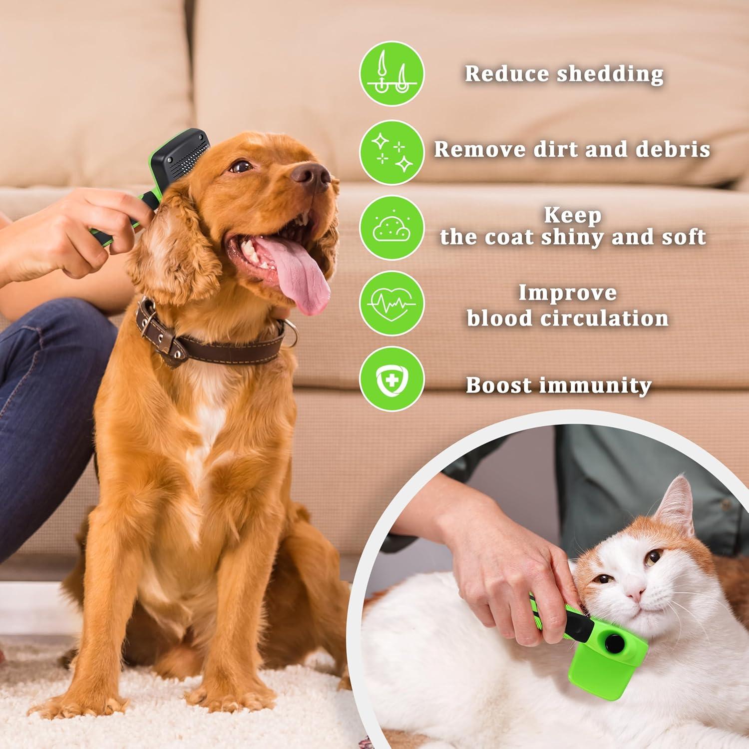 Cepillo Autolimpiante para Mascotas QianRuiDa - Pelo Largo y Corto