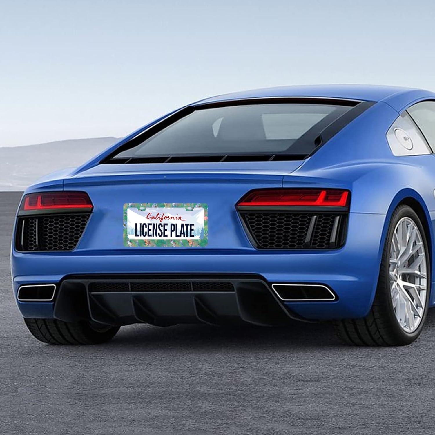 Marco de Placa de Licencia GORSNKYE Acero Inoxidable Floral 31.2x15.9 cm