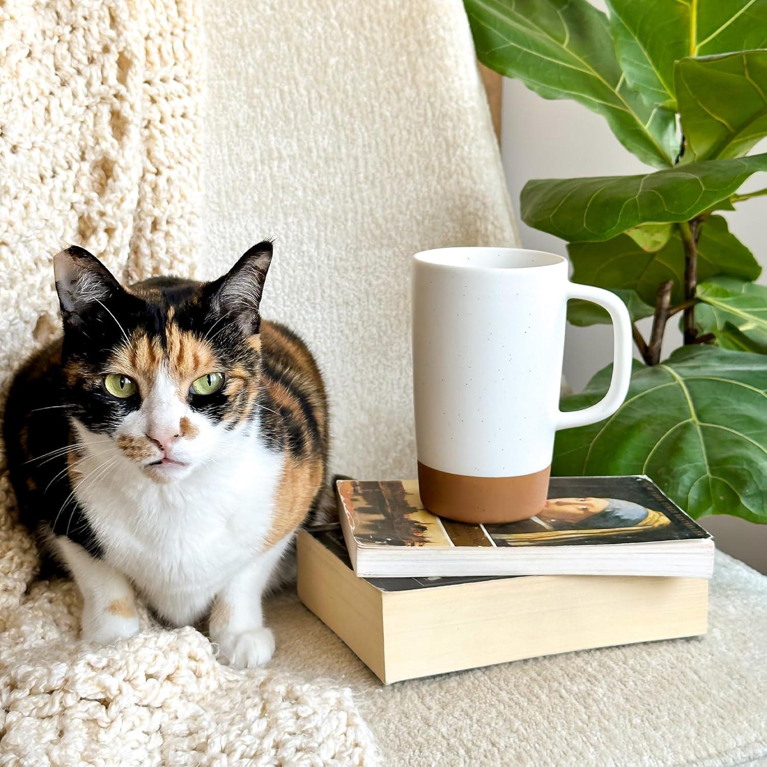 Taza de Té Grande Mora Ceramics con Infusor y Tapa 532 ml