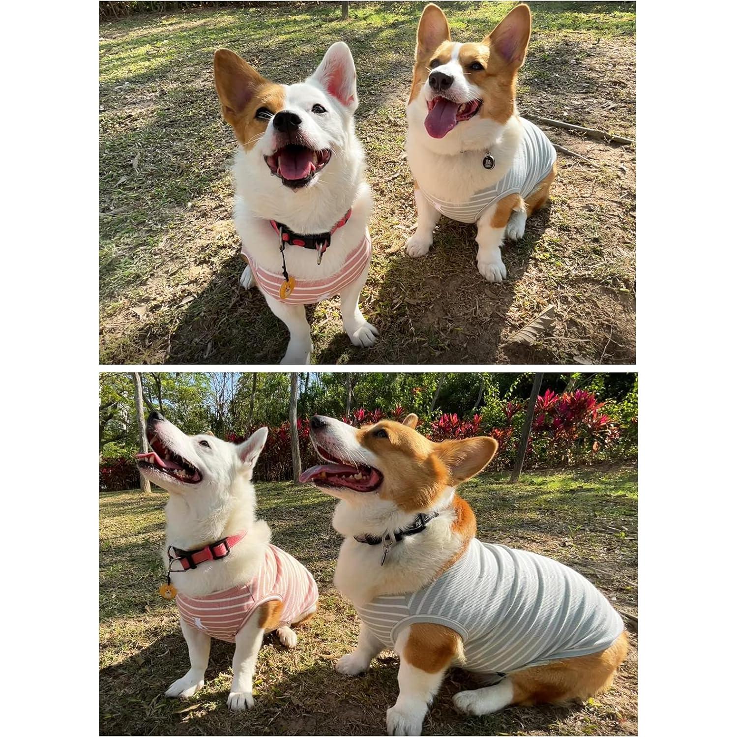 Camisa para Perro Koneseve 3XL Rosa y Verde Transpirable