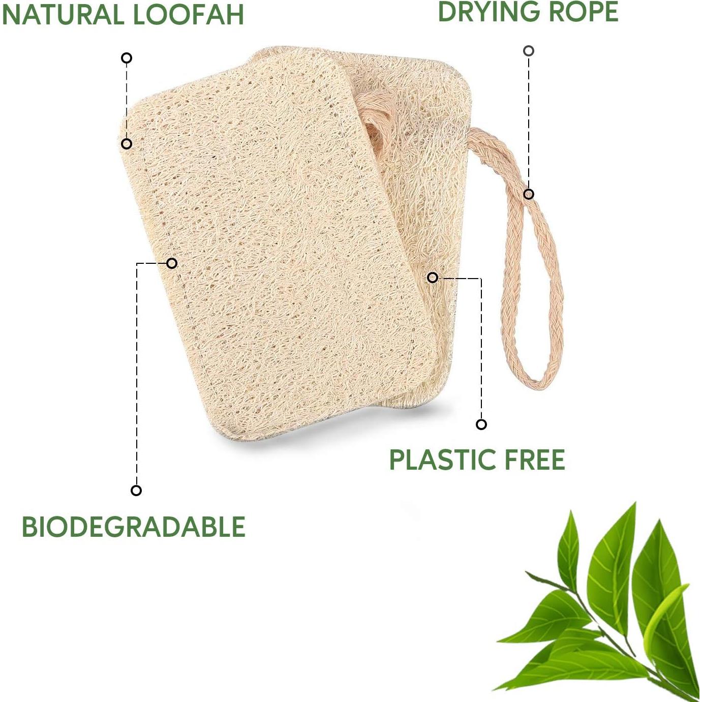 Esponjas de Lavar Platos Ecológicas eplanita - 6 Unidades de Lufa Natural