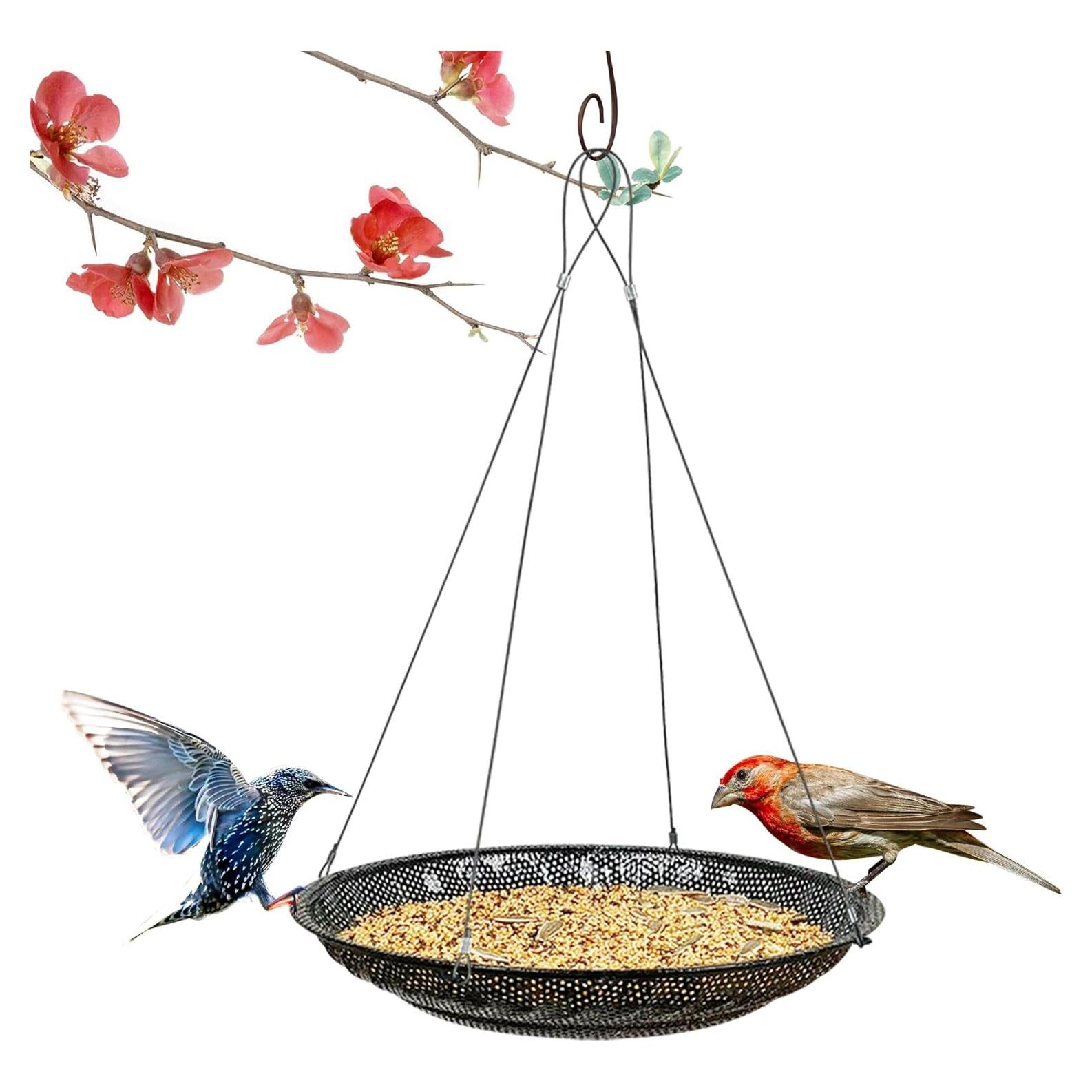 Bandeja de Comedero para Aves Colgante CQAIRIOU 30 cm Acero Inoxidable