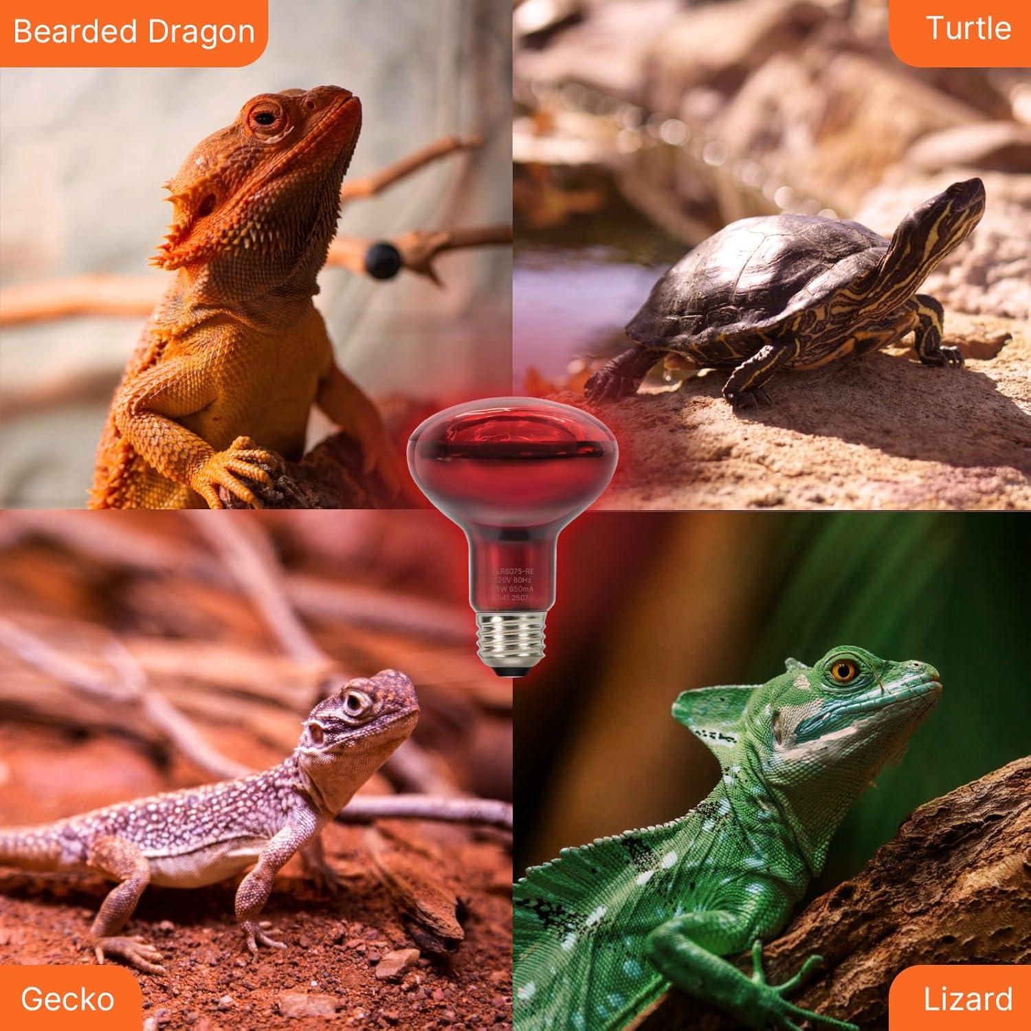 Bombilla de Calor Roja 75W ALAMPEVER para Reptiles E26 - 2 Paquete