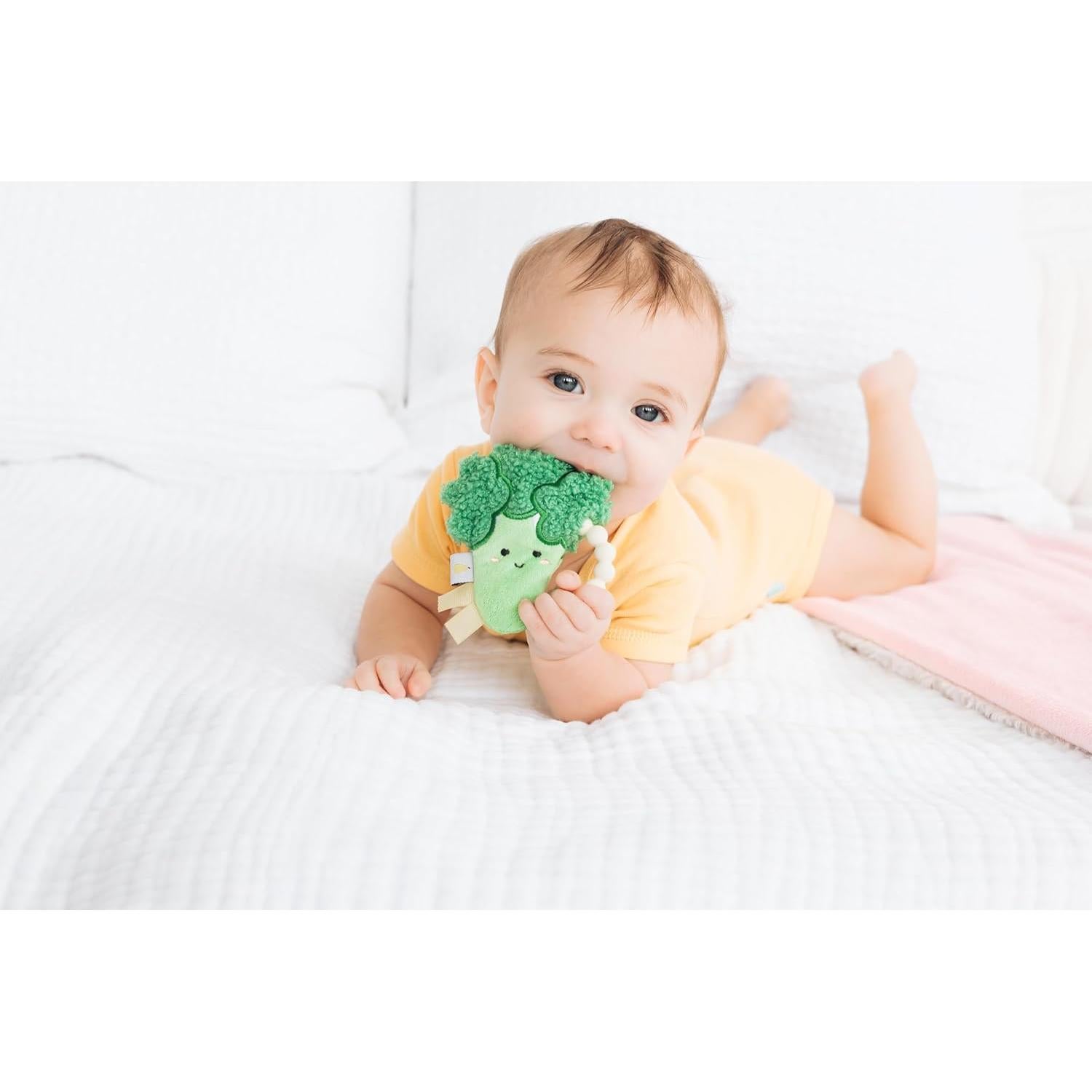 Mordedor de Brócoli Pearhead con Sonido Crujiente 0m+