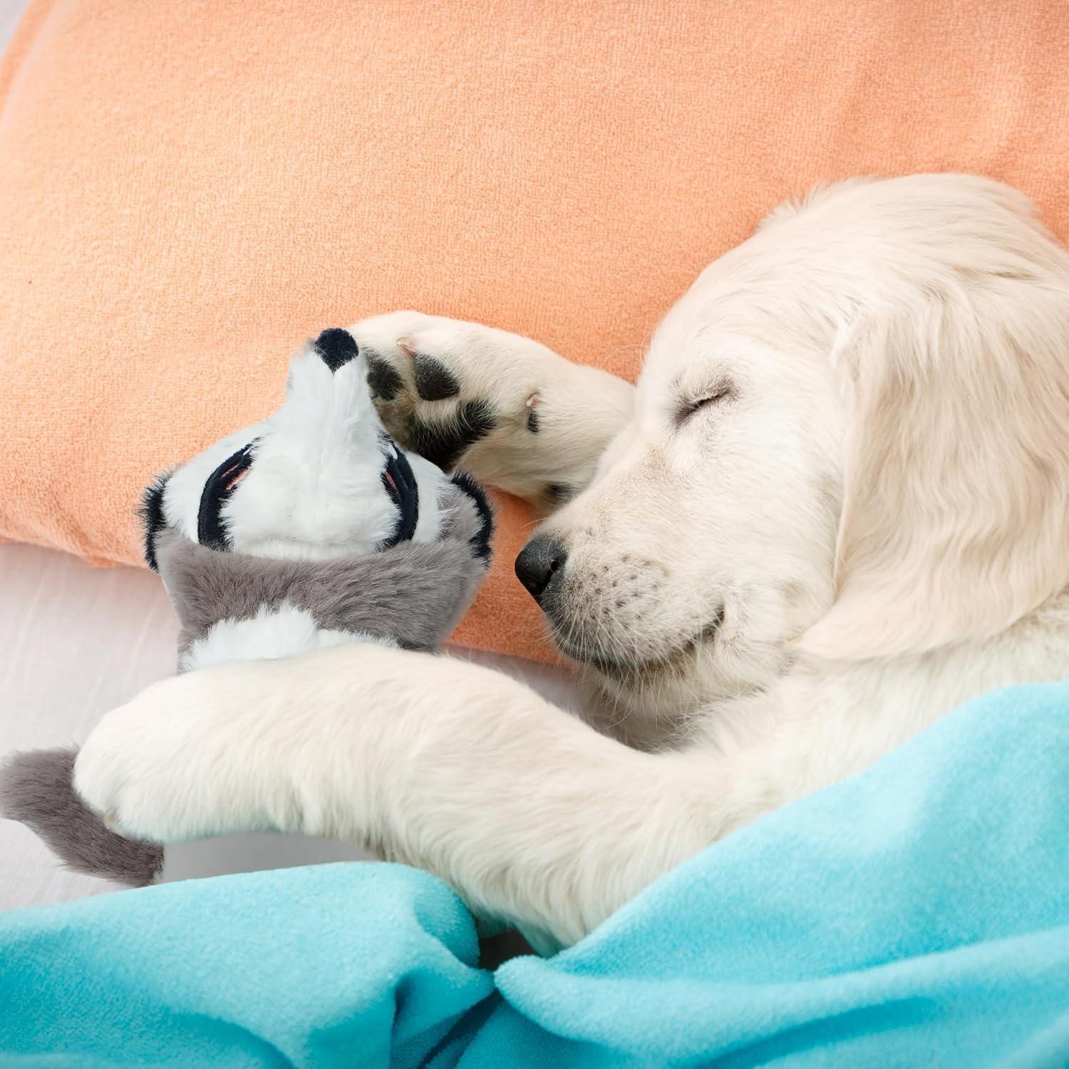 Juguetes para Perros Nocciola 2-en-1 Sin Relleno 5 Piezas