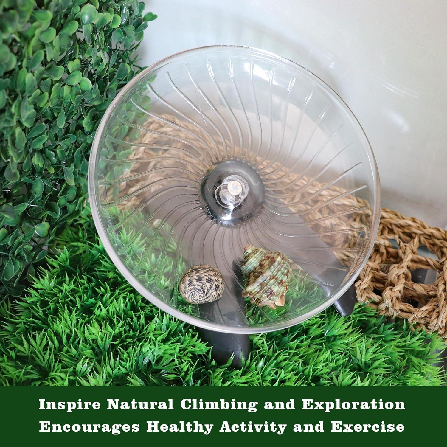 Juguetes para Cangrejo Ermitaño MinrzPet - Rueda Silenciosa