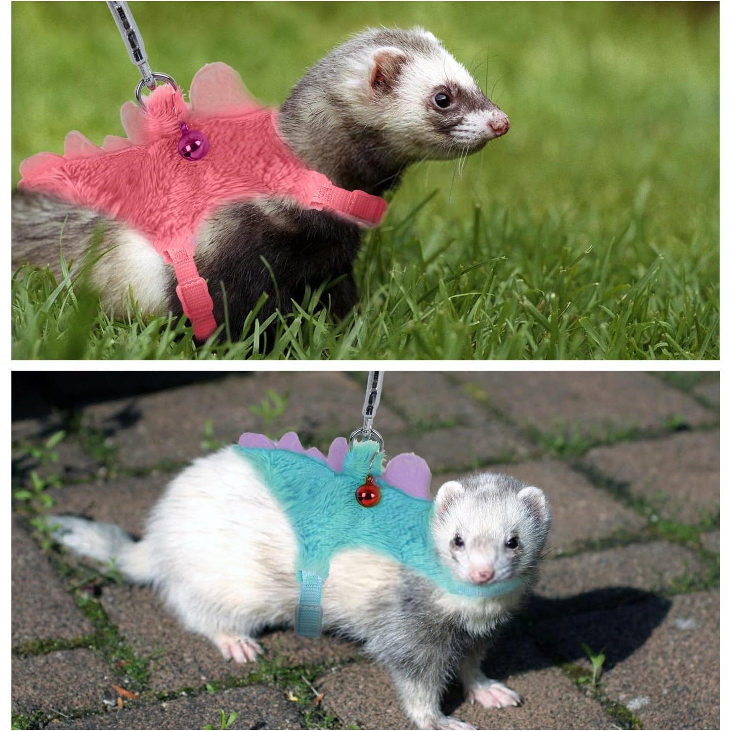 Arnés y Correa para Hurón ChengFu Azul 120 cm