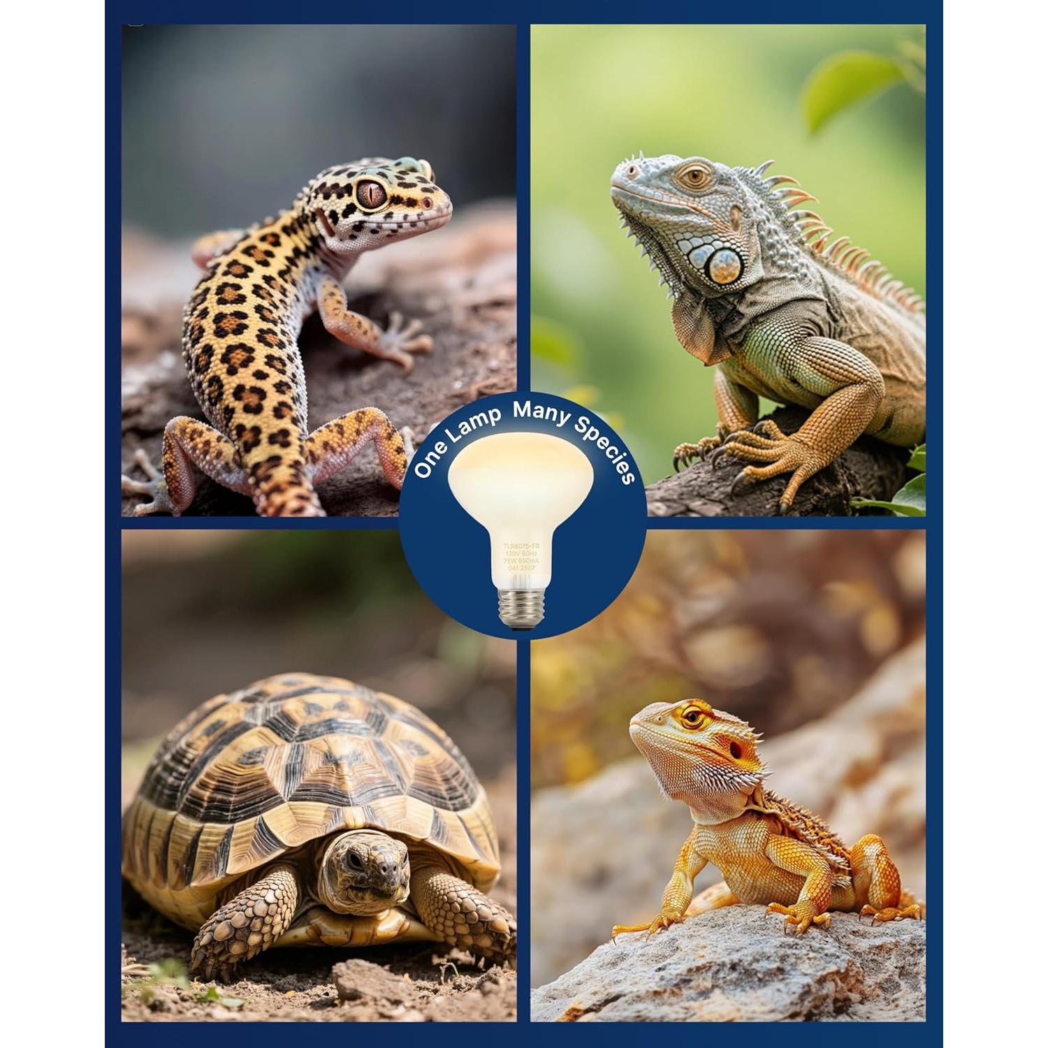 Bombillas de Calor para Reptiles FLSNT 75W Luz Solar