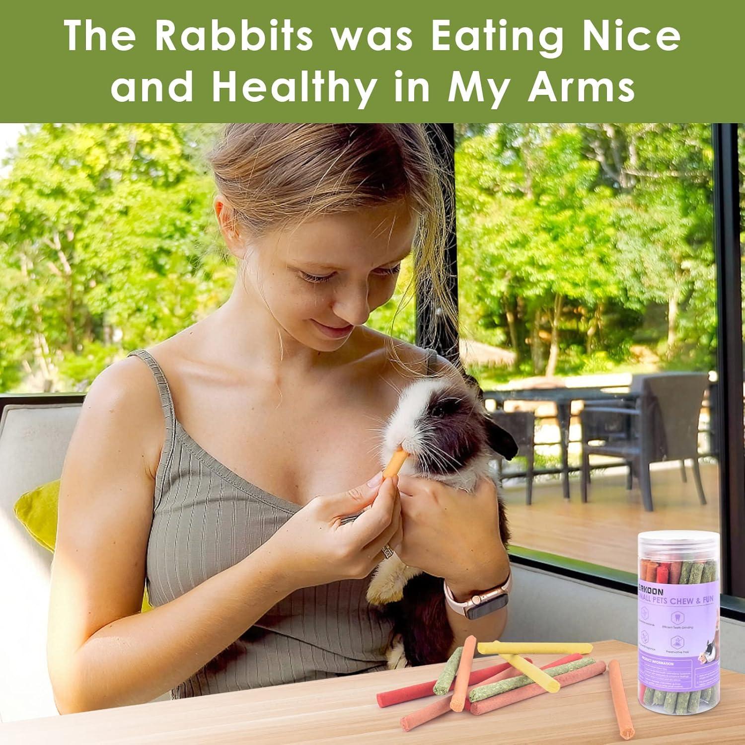 ERKOON 40 Pcs Palitos de Heno Timothy para Conejos y Roedores