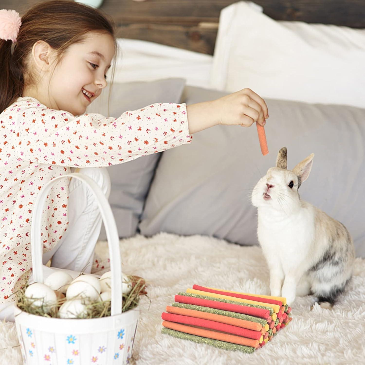 ERKOON 40 Pcs Palitos de Heno Timothy para Conejos y Roedores