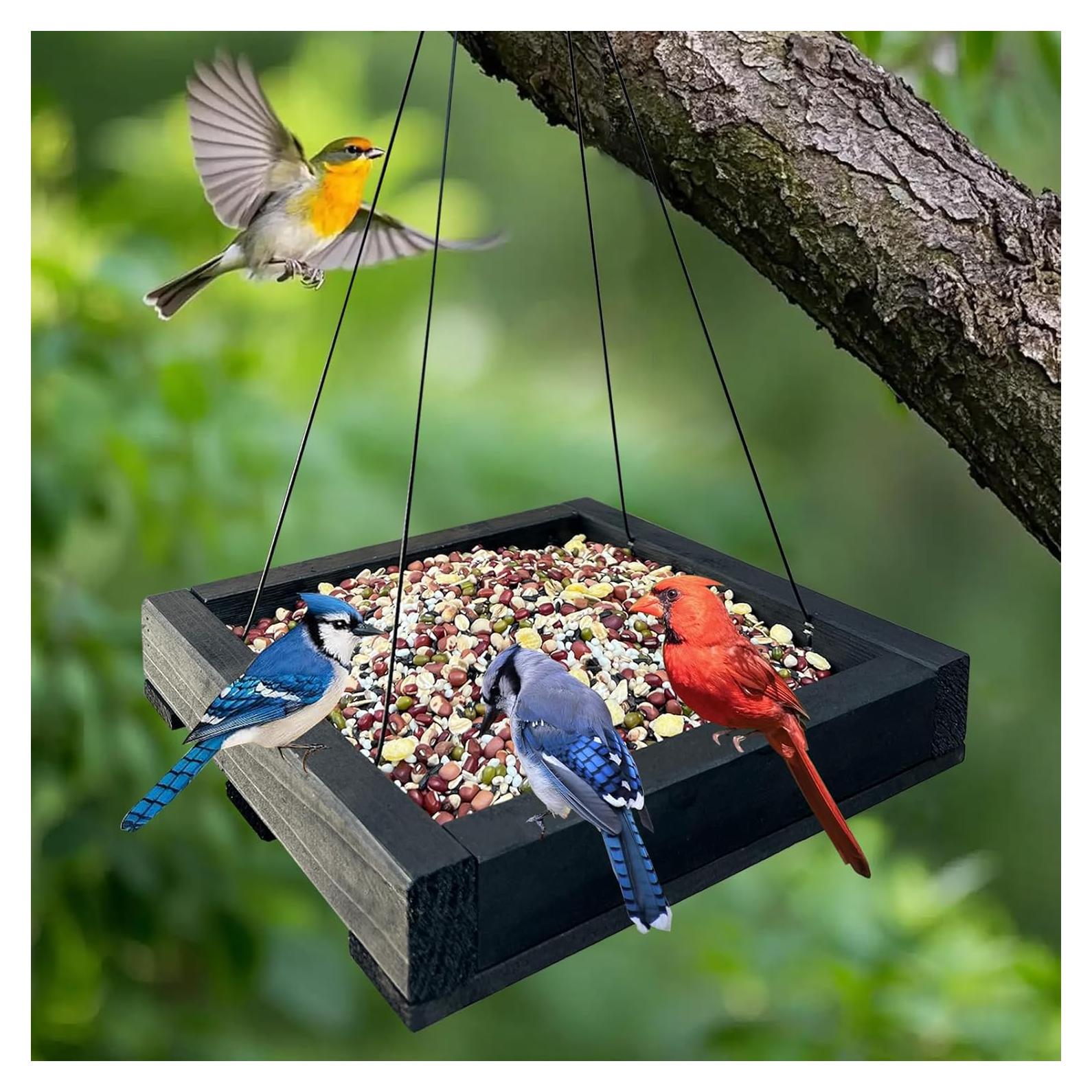 Comedero de Aves Colgante de Madera Strange Koala 22.86cm