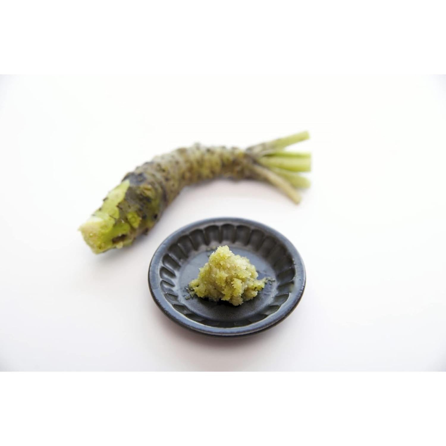 Rallador Japonés para Wasabi Mokkosu - Pequeño, Madera Natural