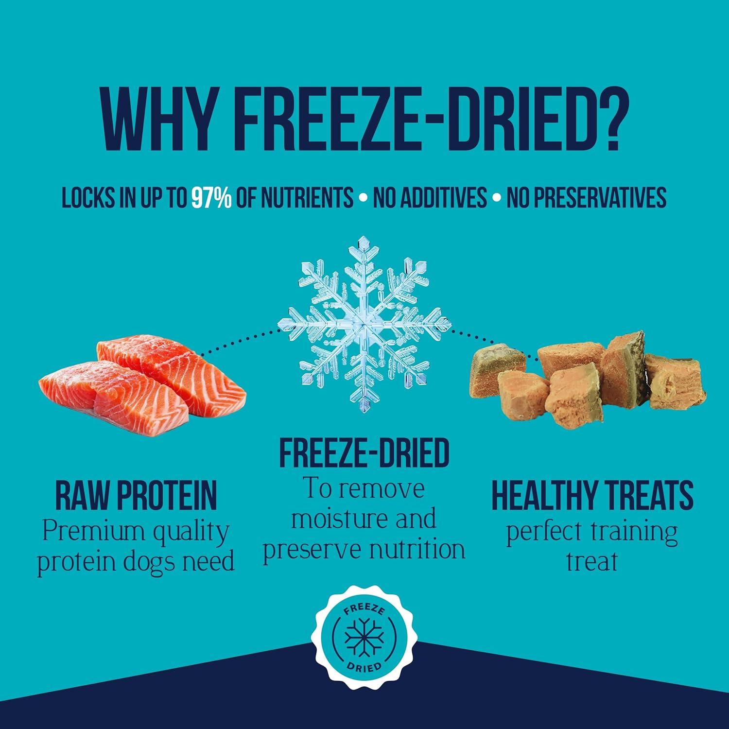 Golosinas Liofilizadas para Perros Stewart Salmón 77g