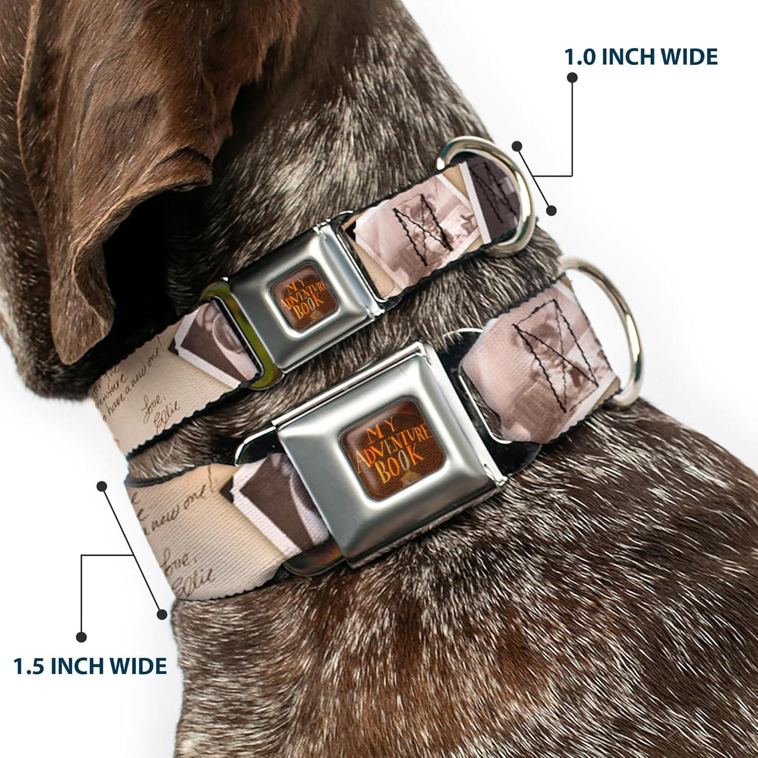 Collar para Perros Disney Buckle-Down 24.1-33 cm 2.54 cm Ancho