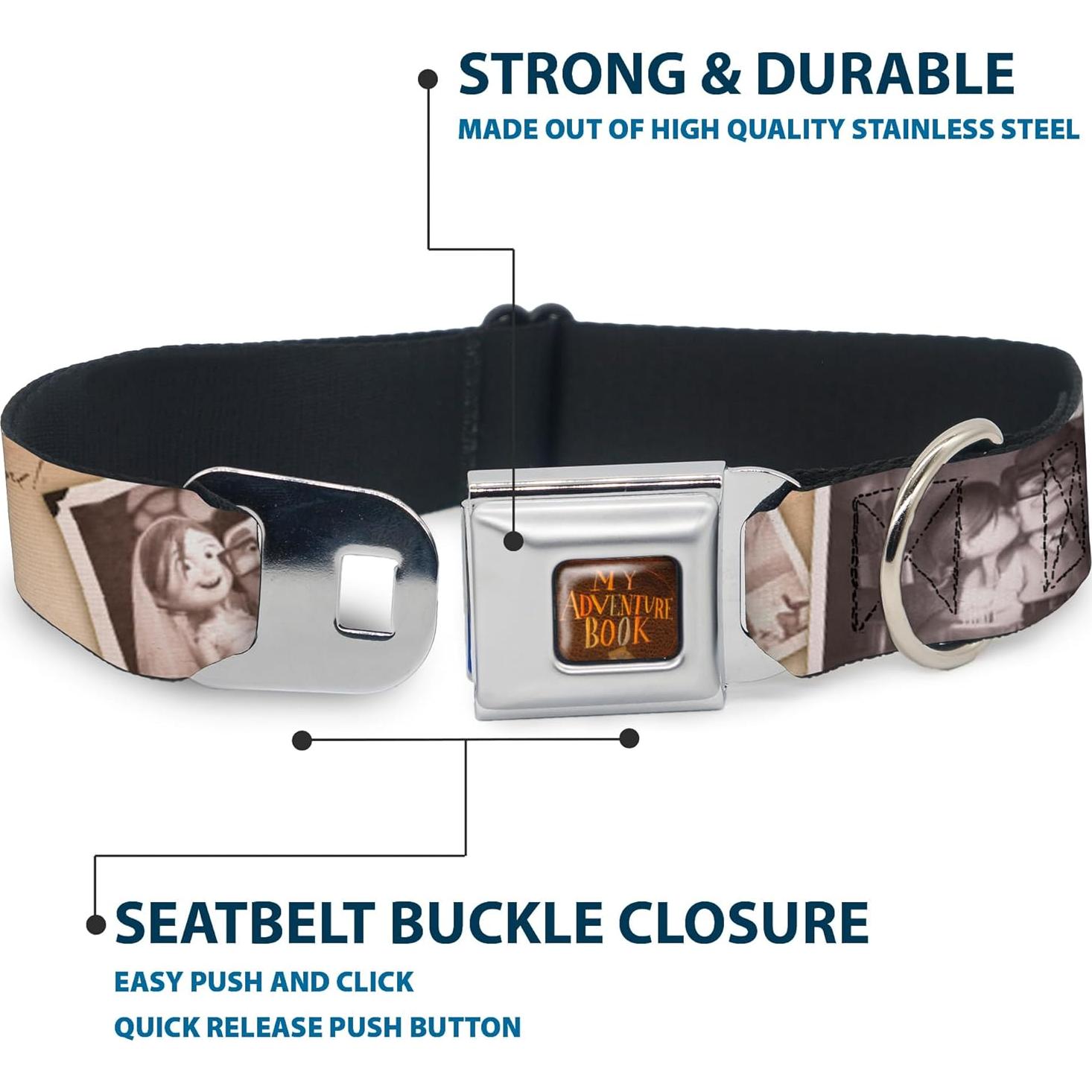 Collar para Perros Disney Buckle-Down 24.1-33 cm 2.54 cm Ancho